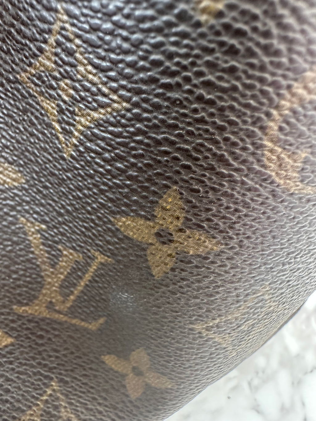 Louis Vuitton Petite Noé