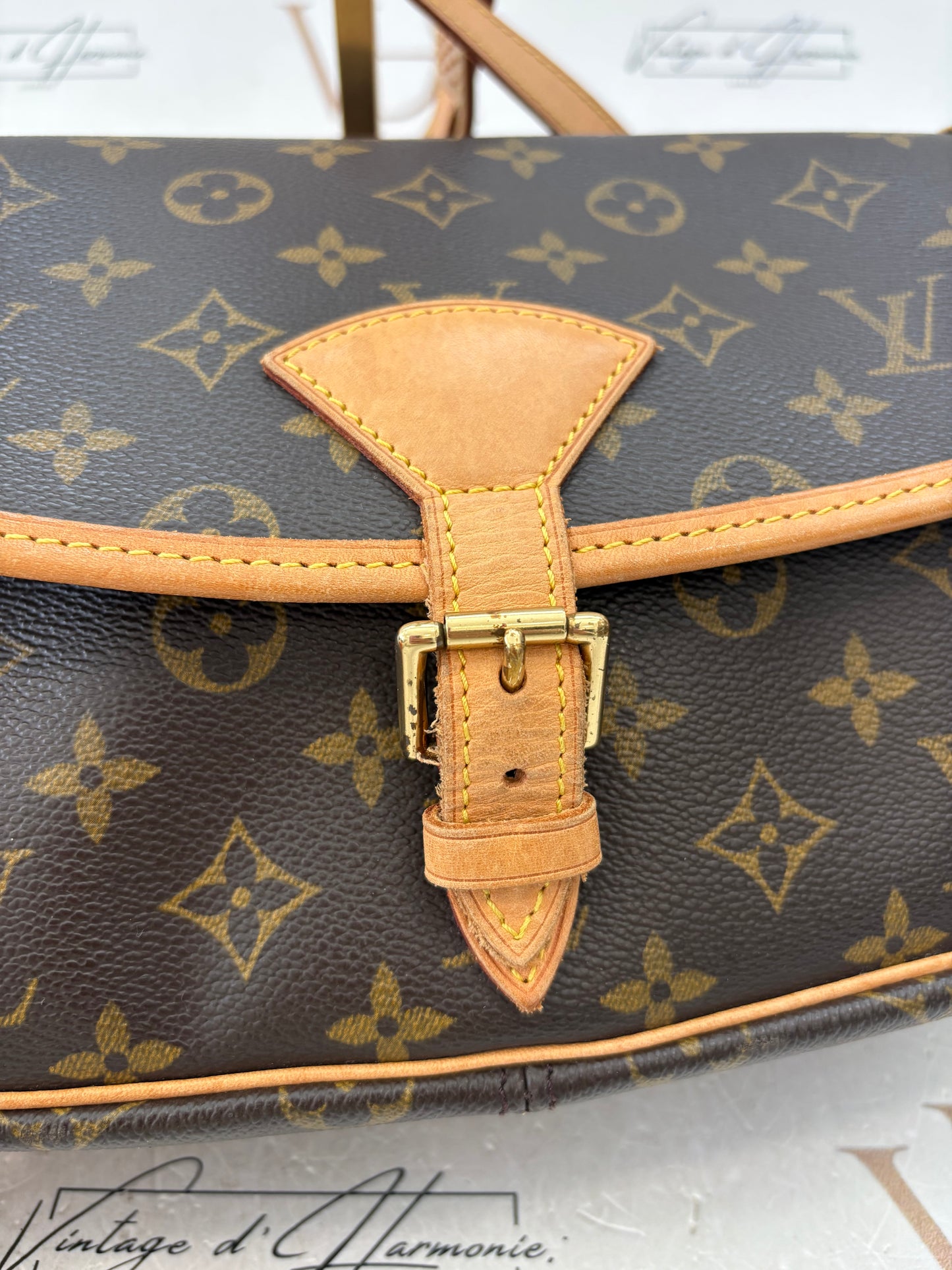 018585 - Louis Vuitton Sologne
