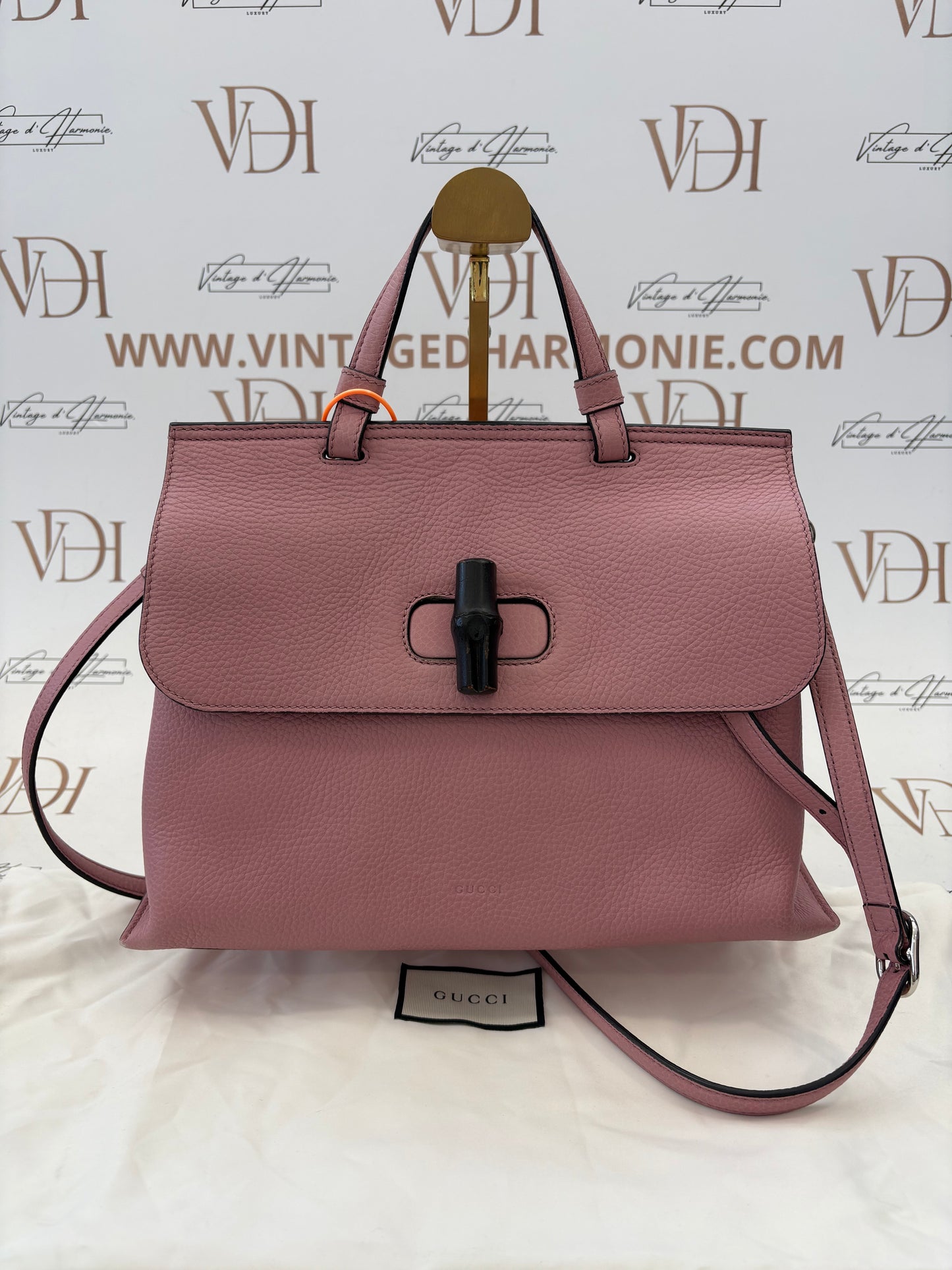383797 - Gucci Daily