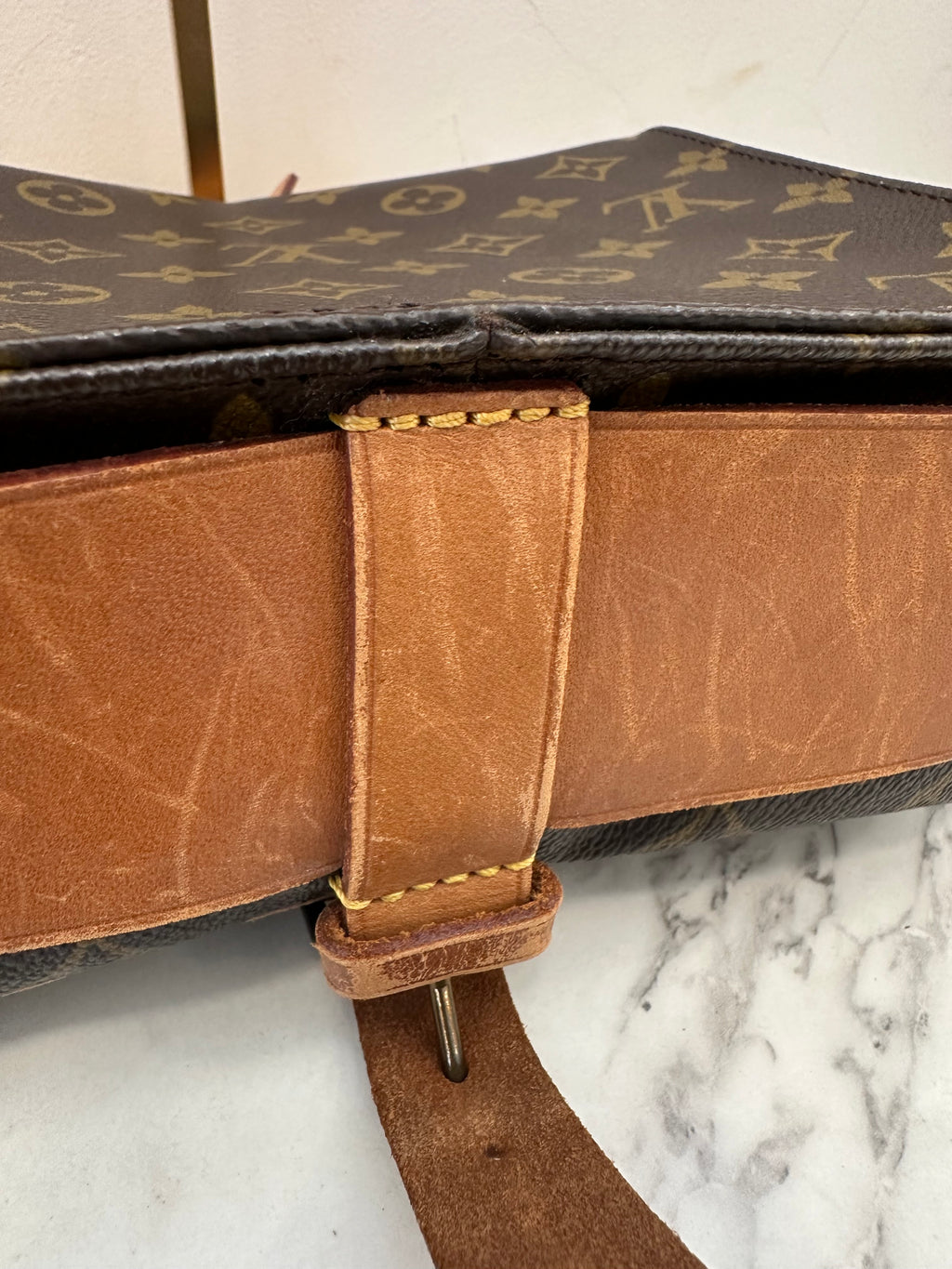 Louis Vuitton Cartouchiere MM