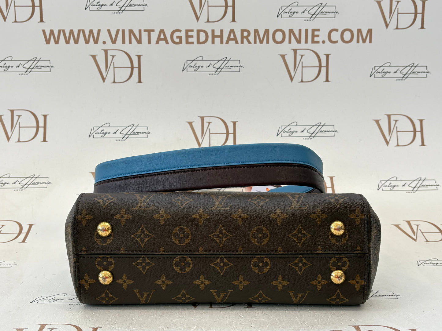 201387 - Louis Vuitton Cluny
