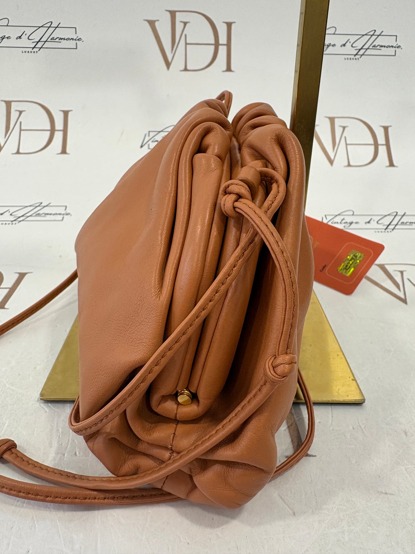 382774 - Bottega Veneta Pouch