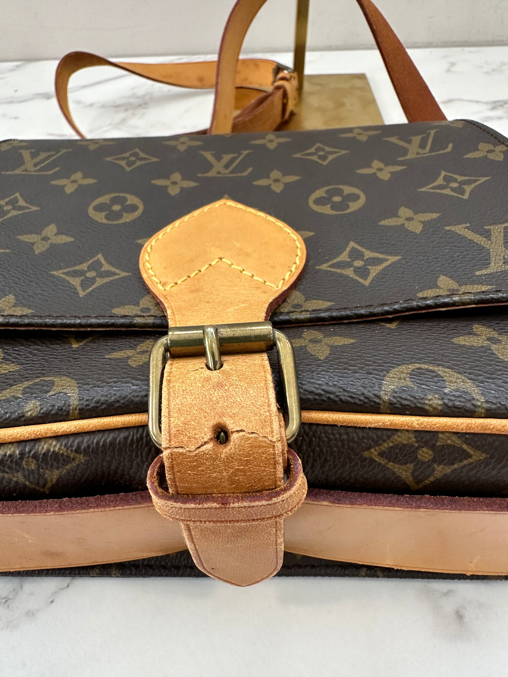Louis Vuitton Cartouchiere MM