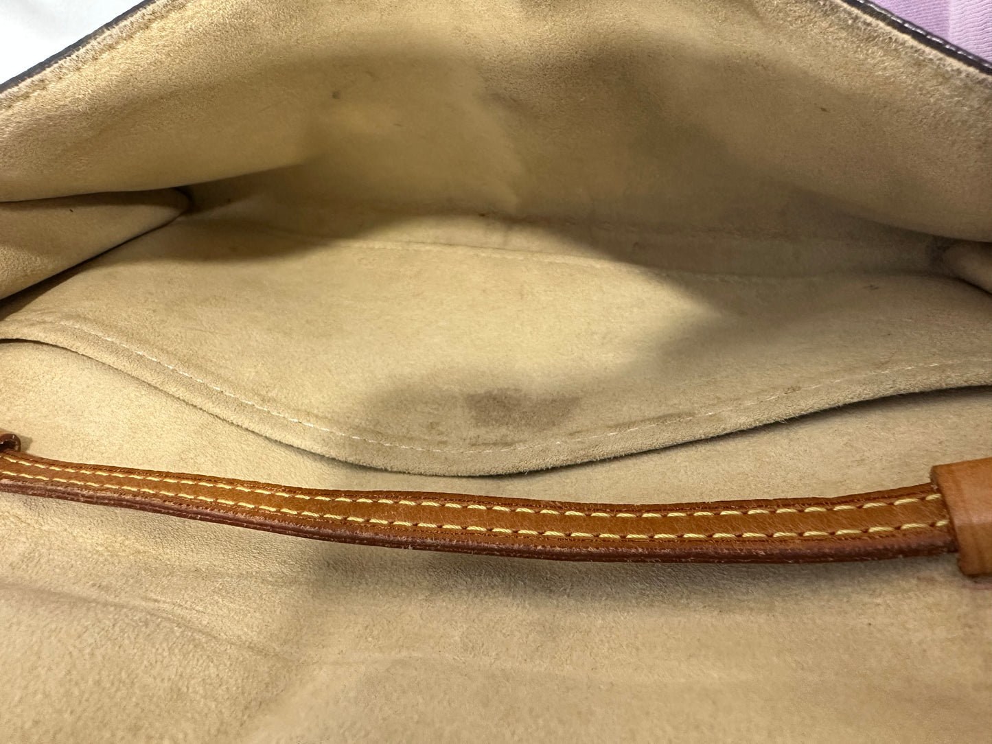 Louis Vuitton Pochette Twin GM