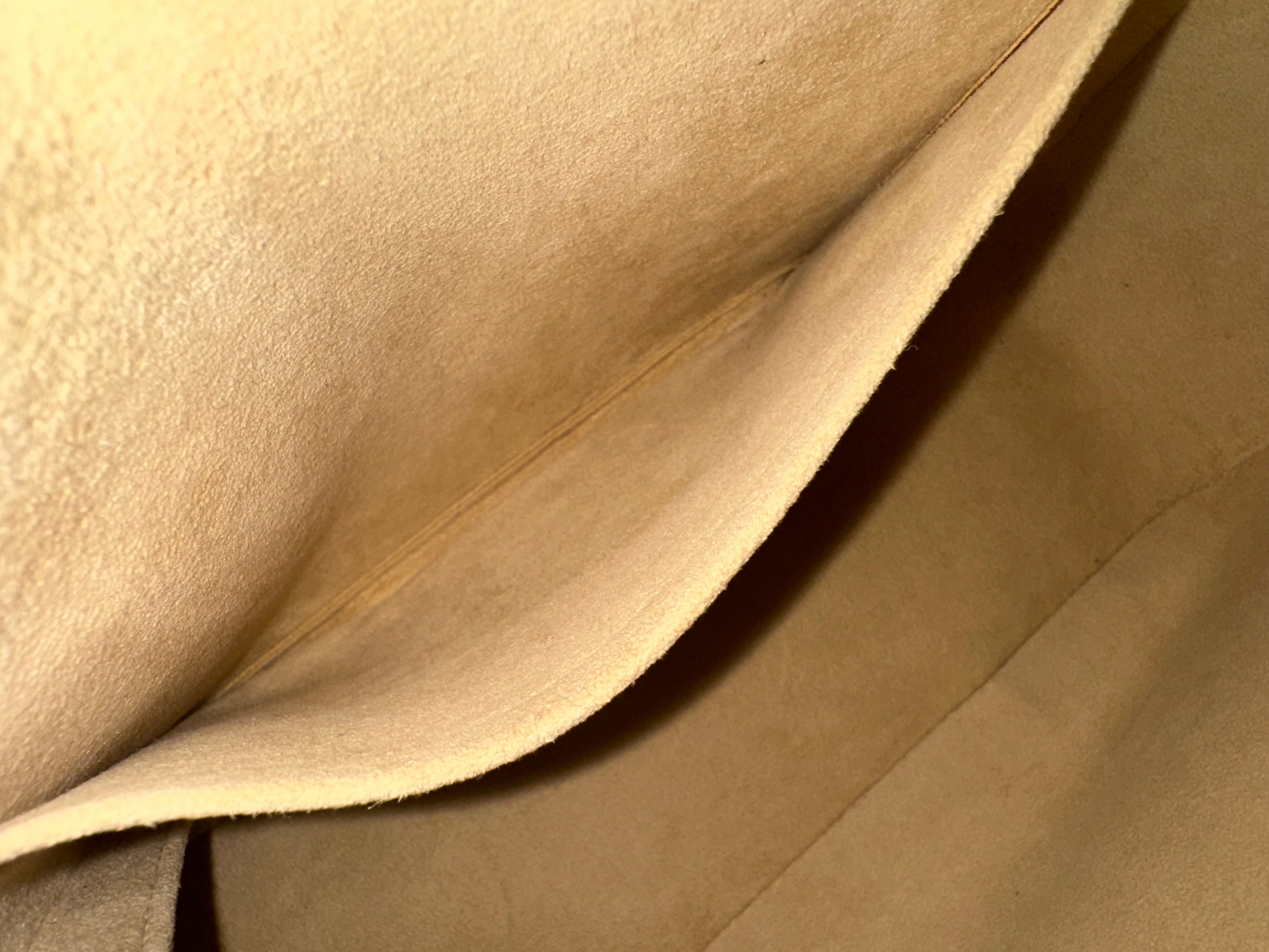 Louis Vuitton Cite GM