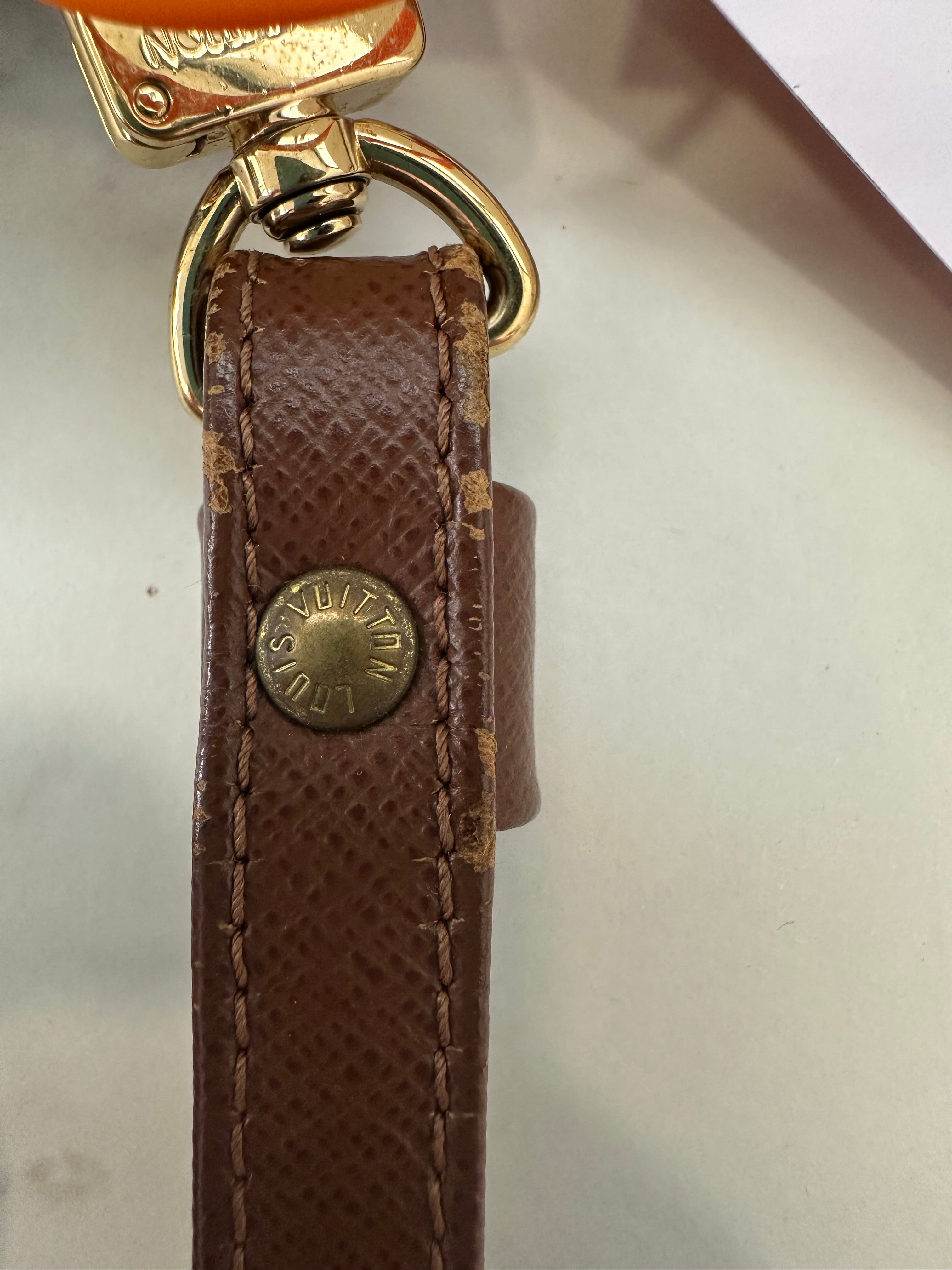 Louis Vuitton Orsay Clutch