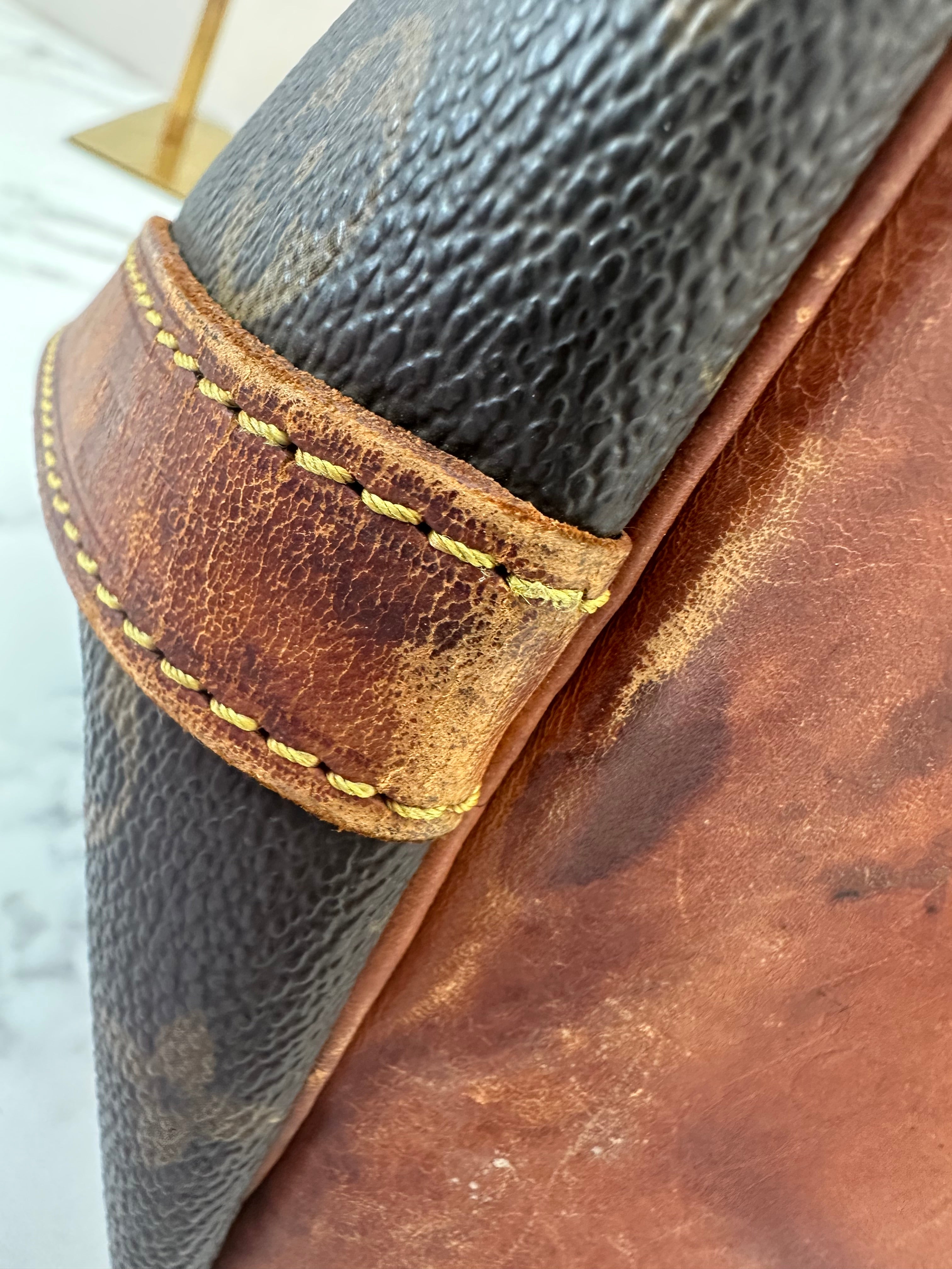 Louis Vuitton Petite Noé