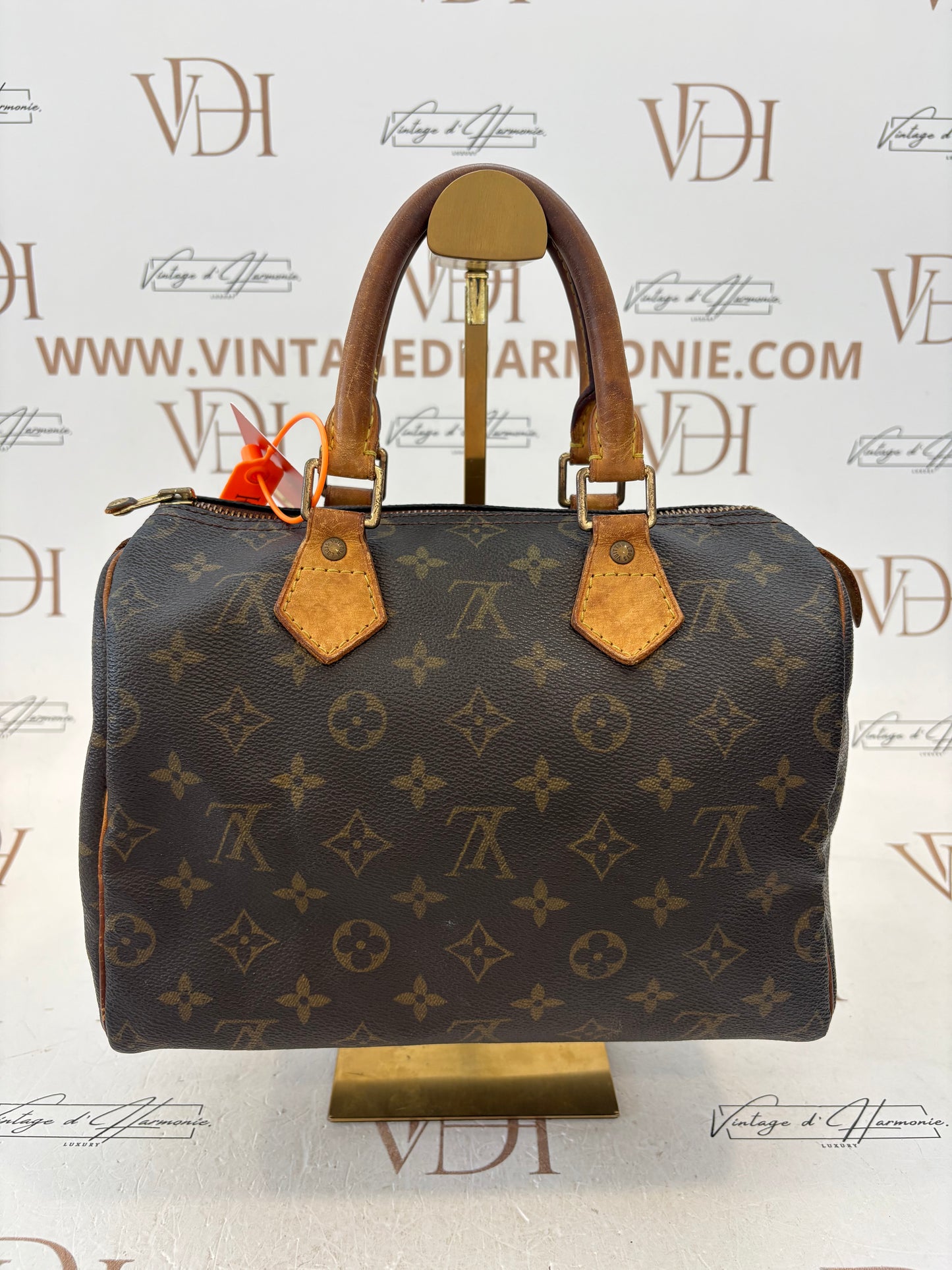 017317 - Louis Vuitton Speedy 25