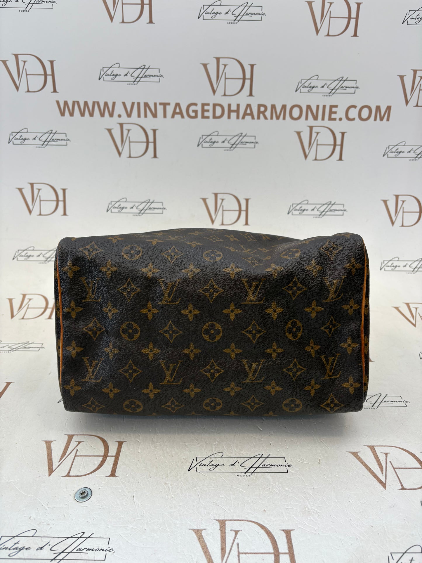 018365 - Louis Vuitton Speedy 30