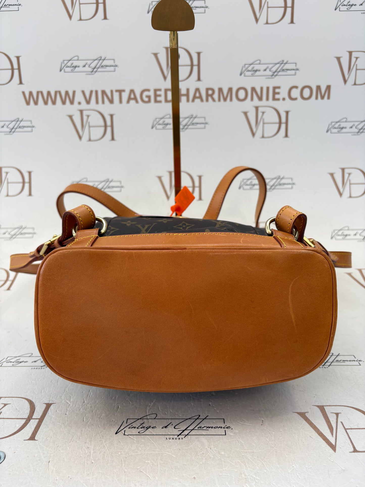 018347 - Louis Vuitton Montsouris MM