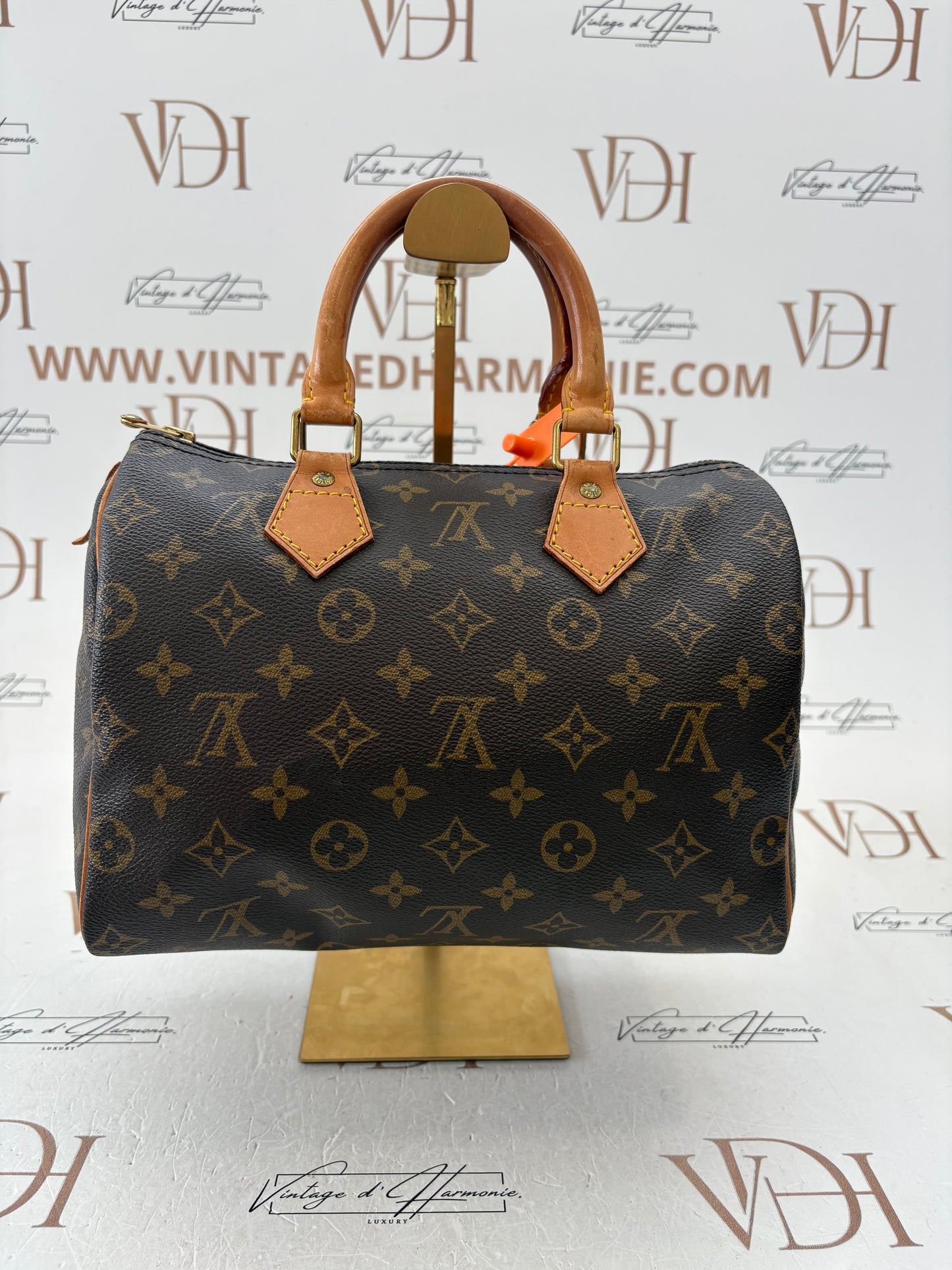 200870 - Louis Vuitton Speedy 25