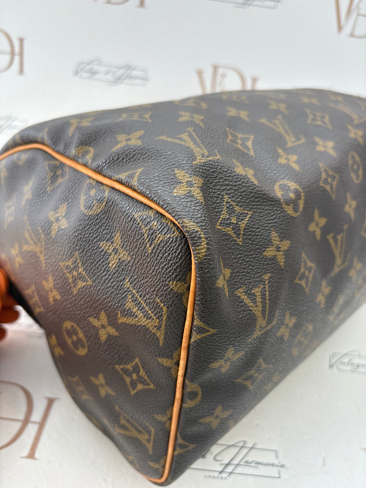018815 - Louis Vuitton Speedy 30