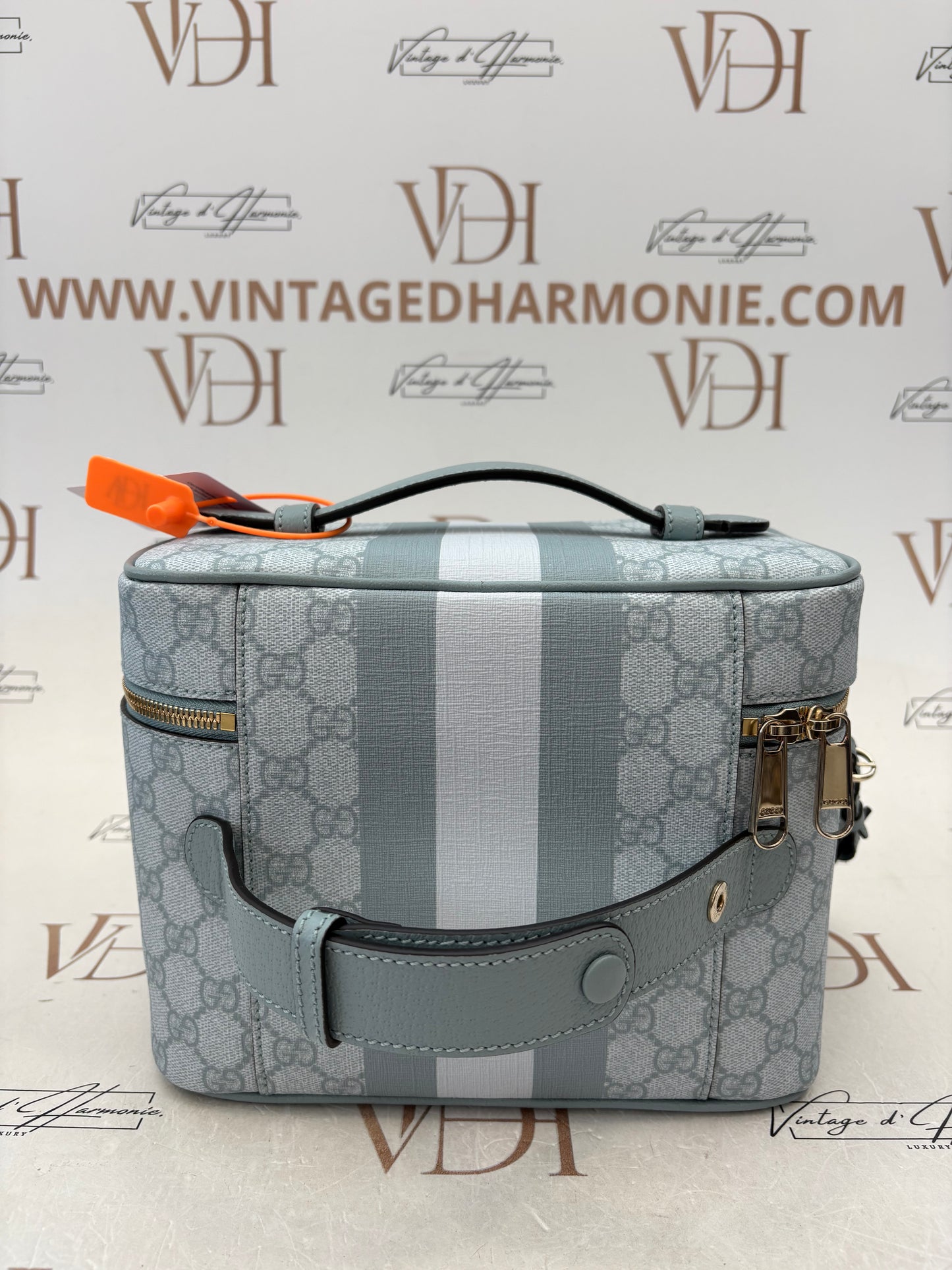383591 - Gucci Ophidia