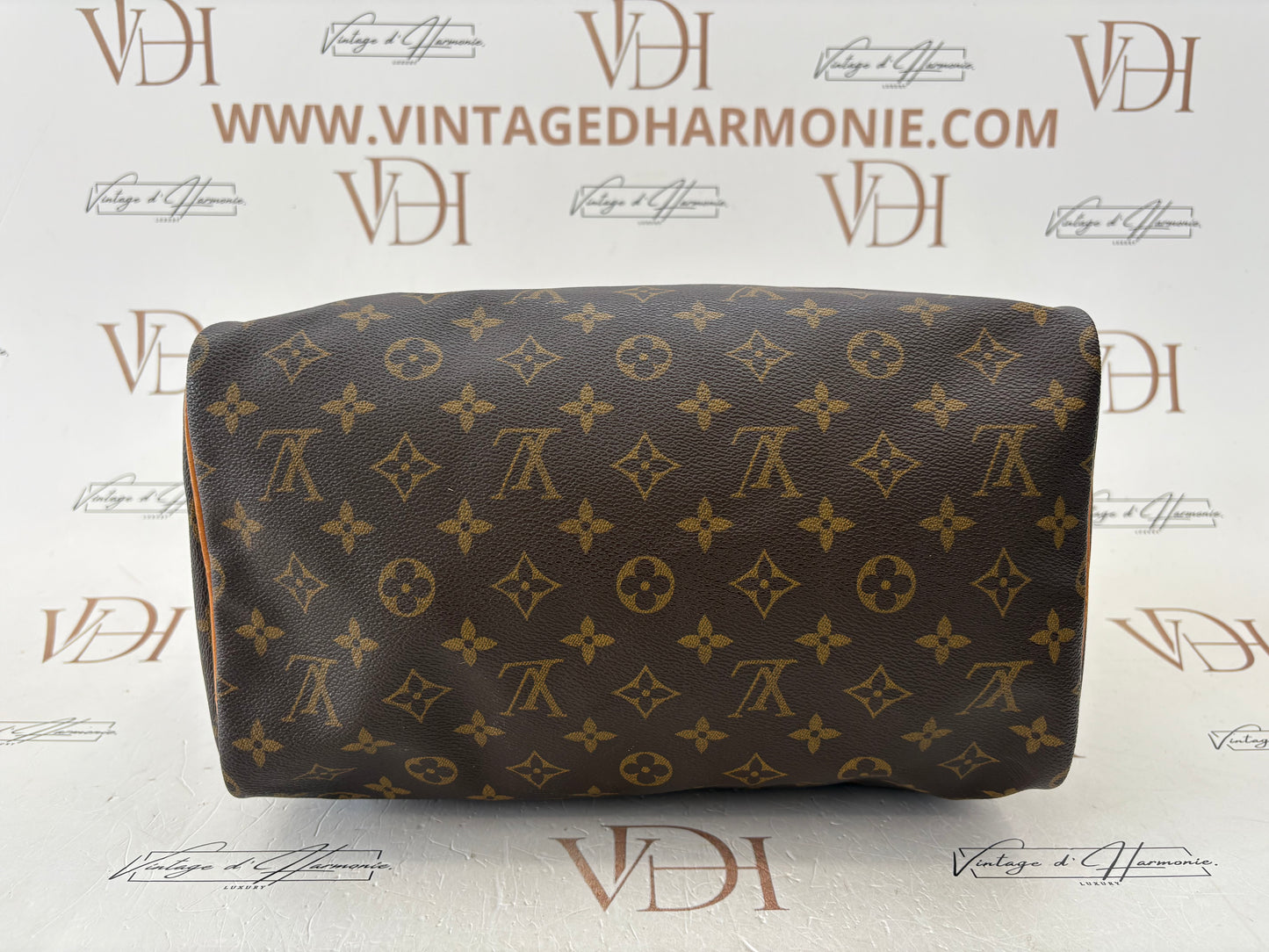 018815 - Louis Vuitton Speedy 30