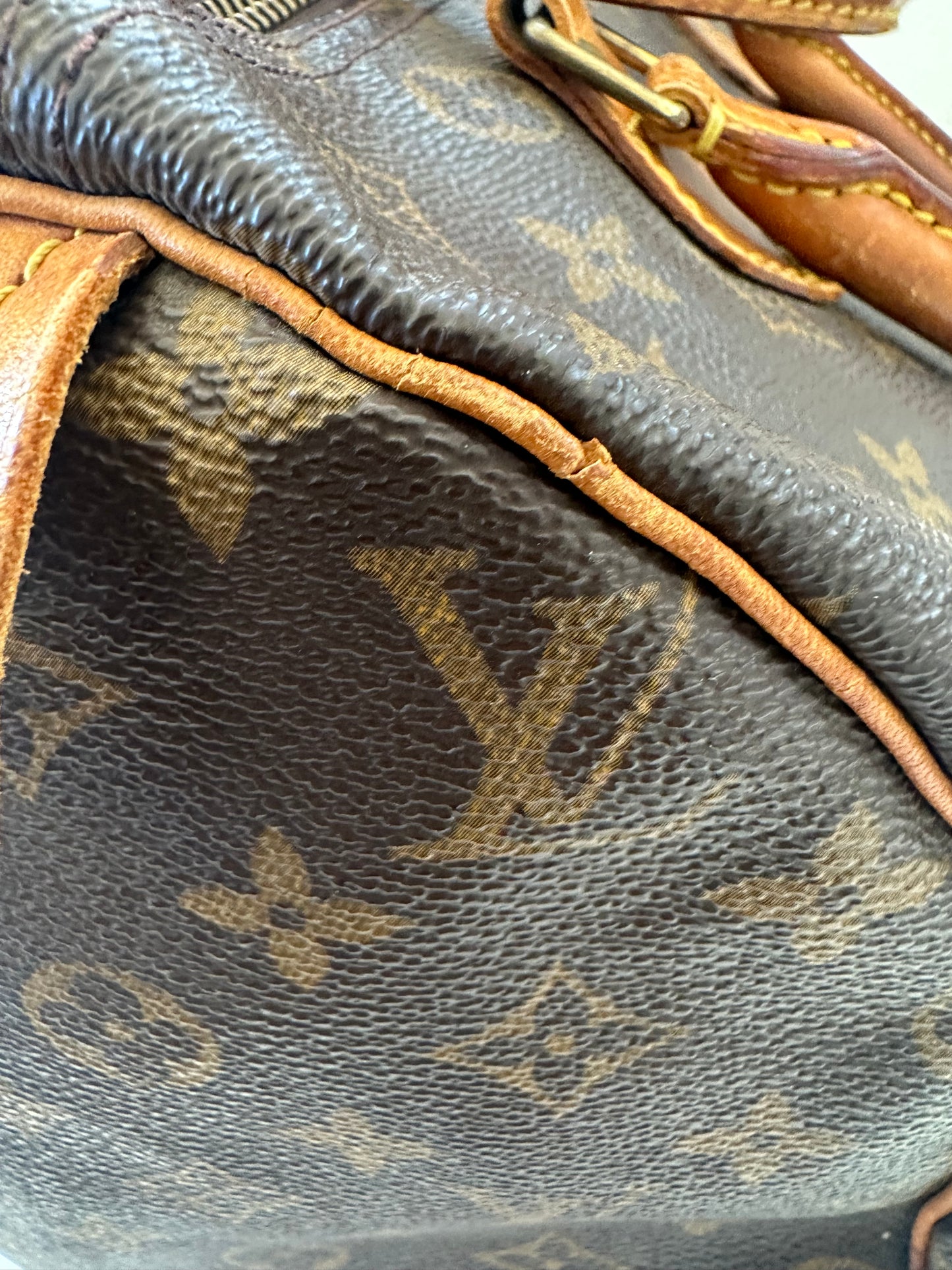 Louis Vuitton Speedy 30