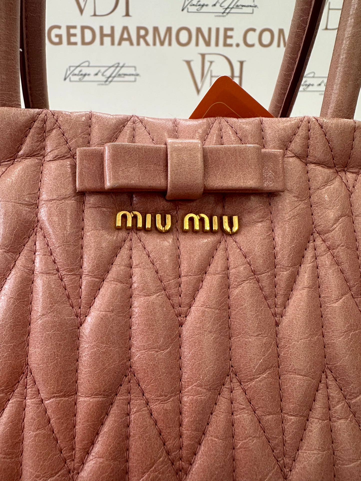 102195 - Miu Miu Bag