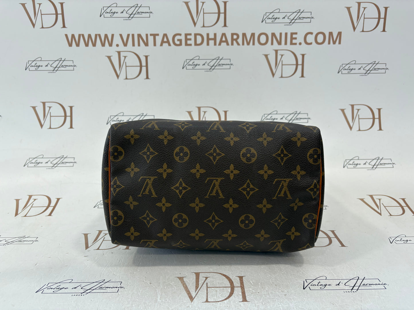 018245 - Louis Vuitton Speedy 25