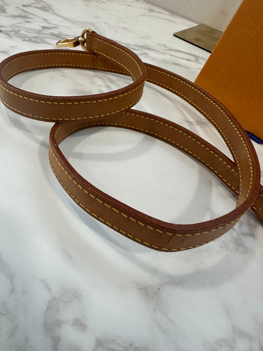 Louis Vuitton Tracolla