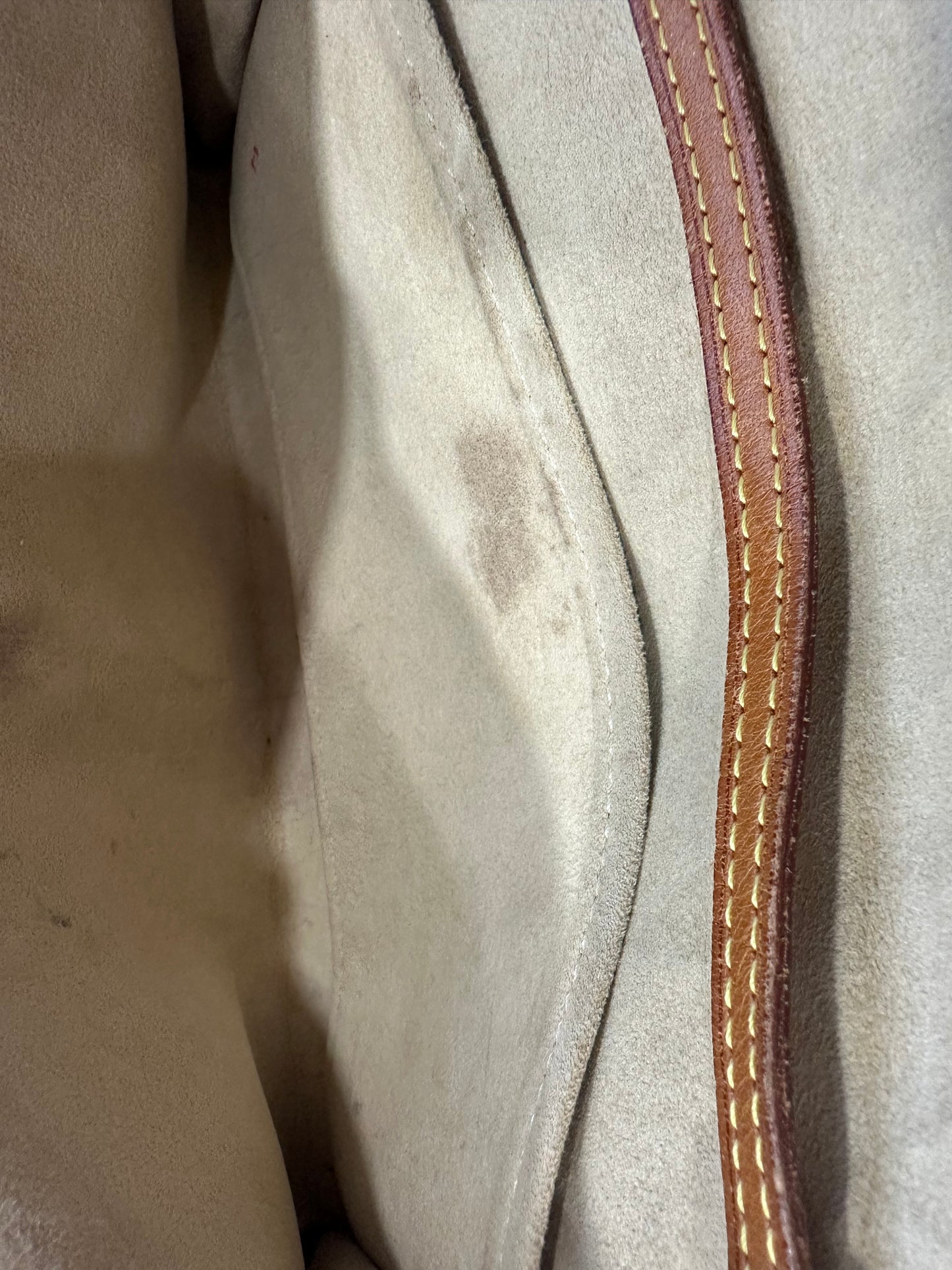 Louis Vuitton Pochette Twin GM
