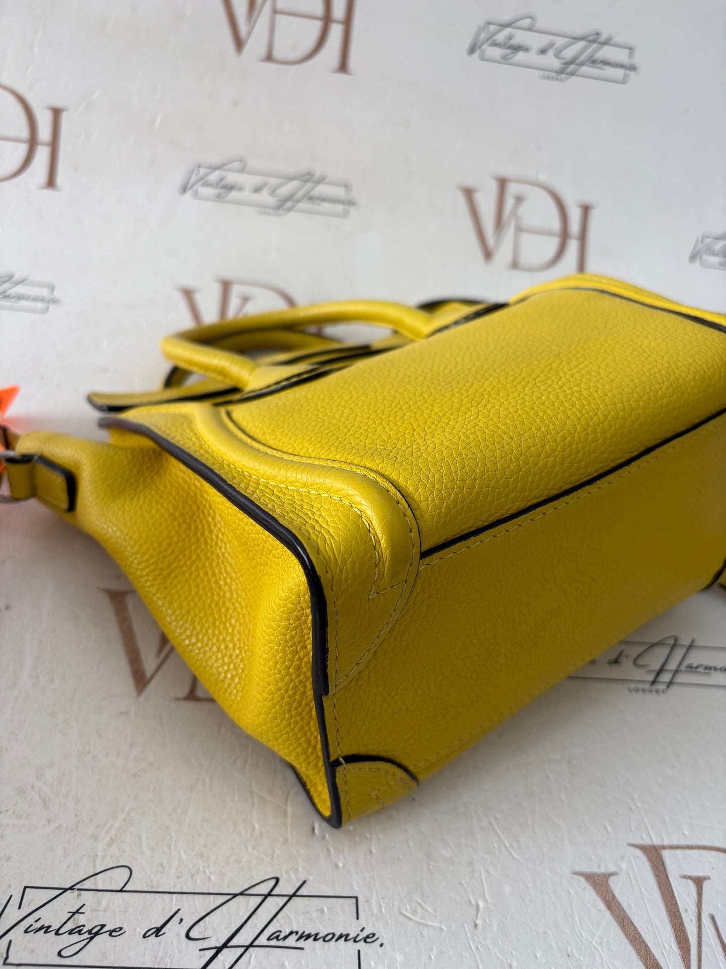 201654 - Céline Nano