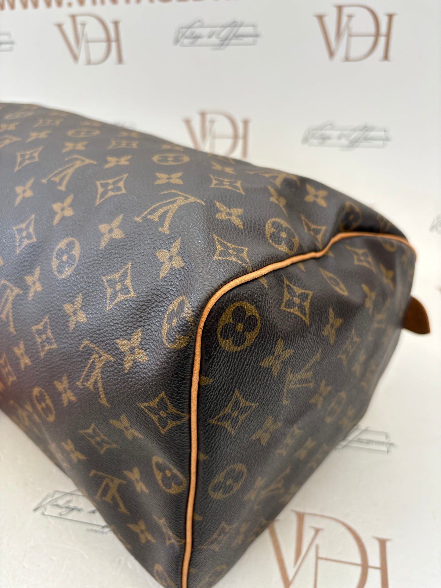018876 - Louis Vuitton Speedy 40