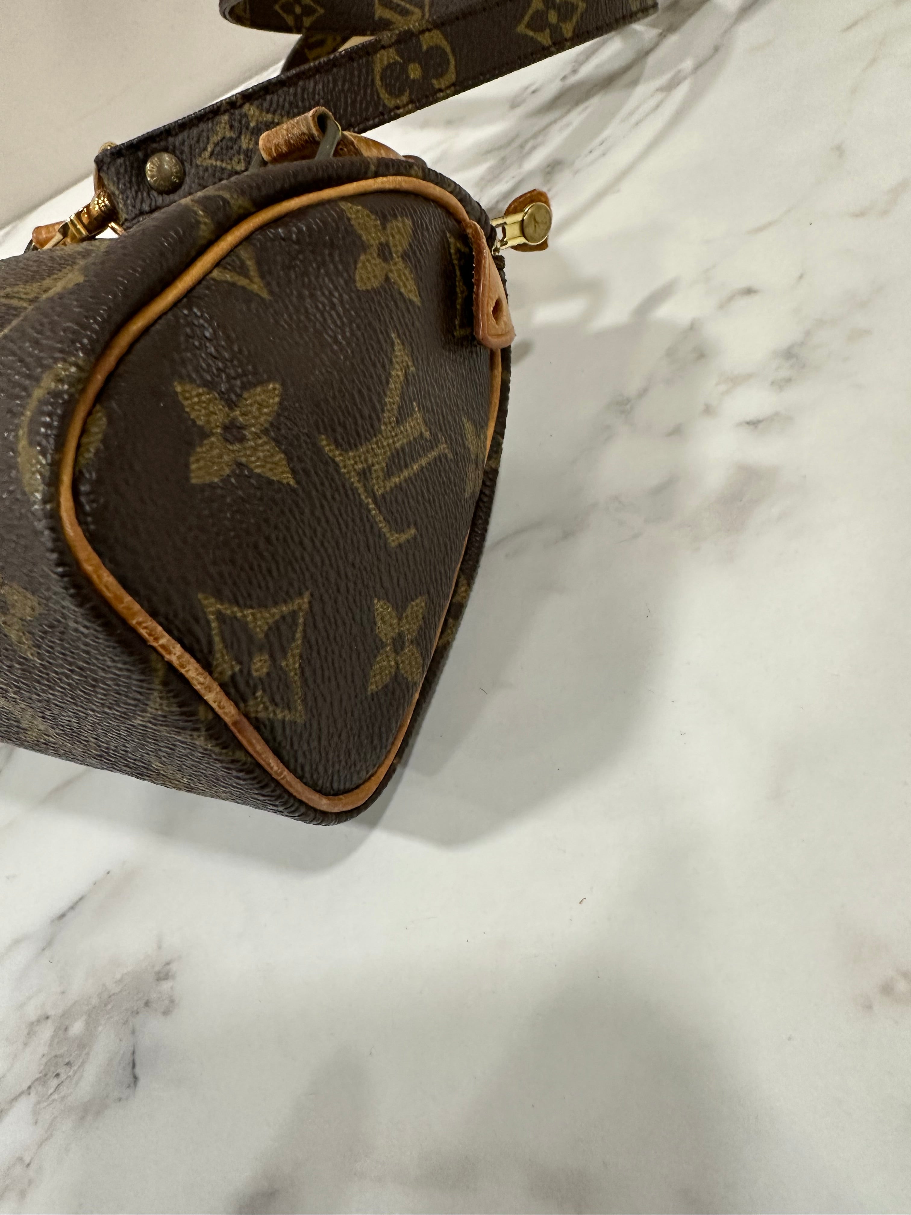 Louis Vuitton Mini Speedy
