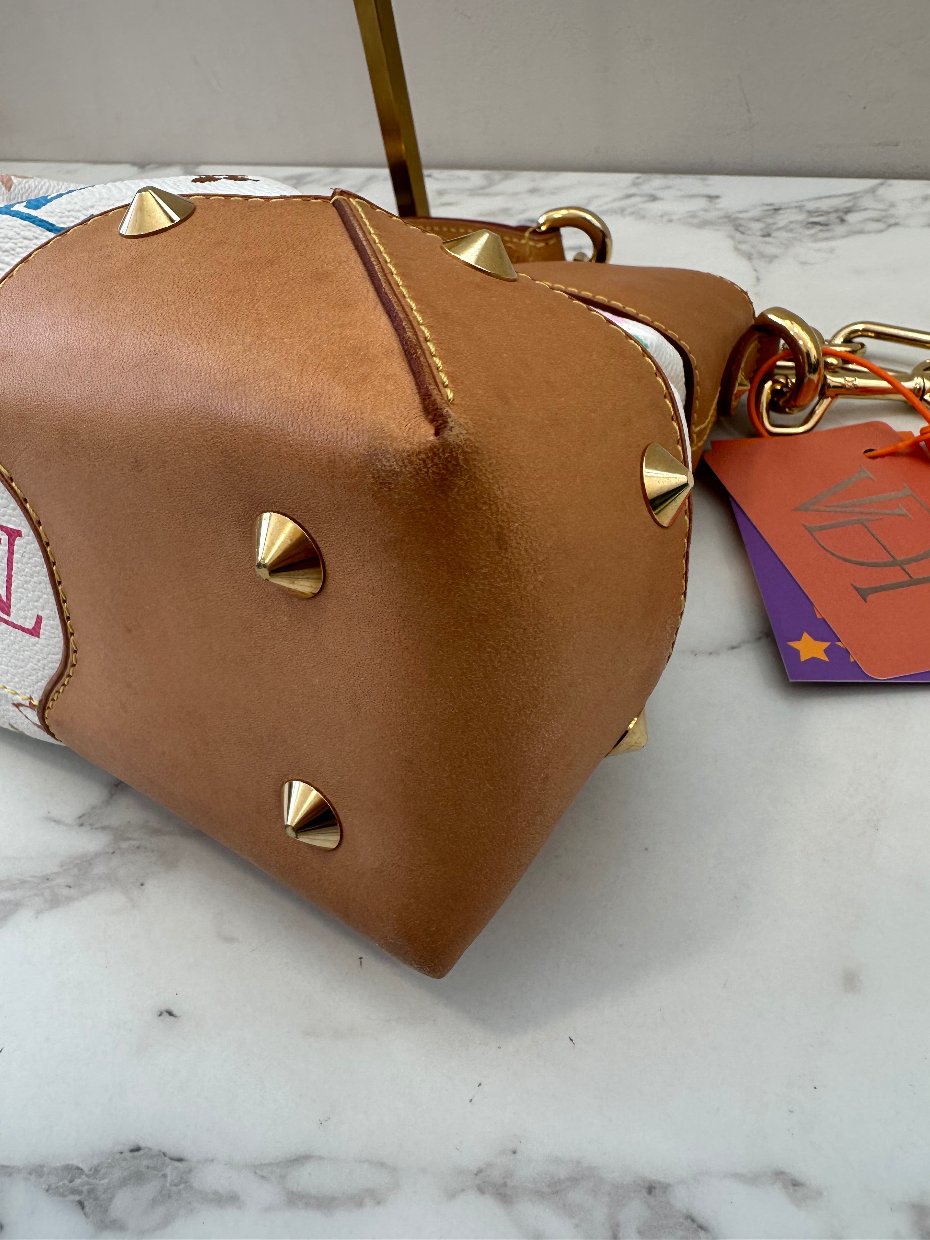 Louis Vuitton Judy MM Multicolor