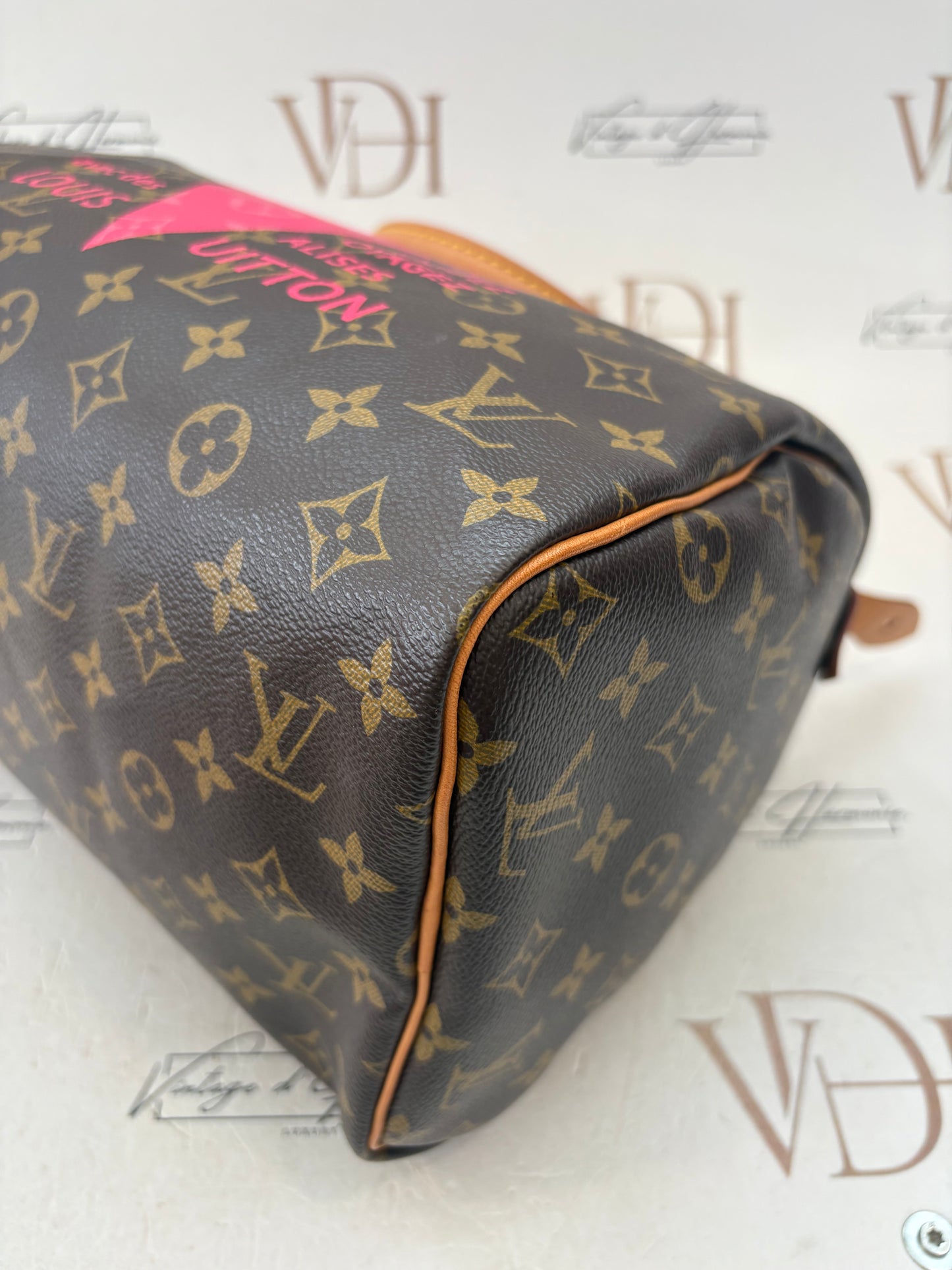 384207 - Louis Vuitton Speedy 30