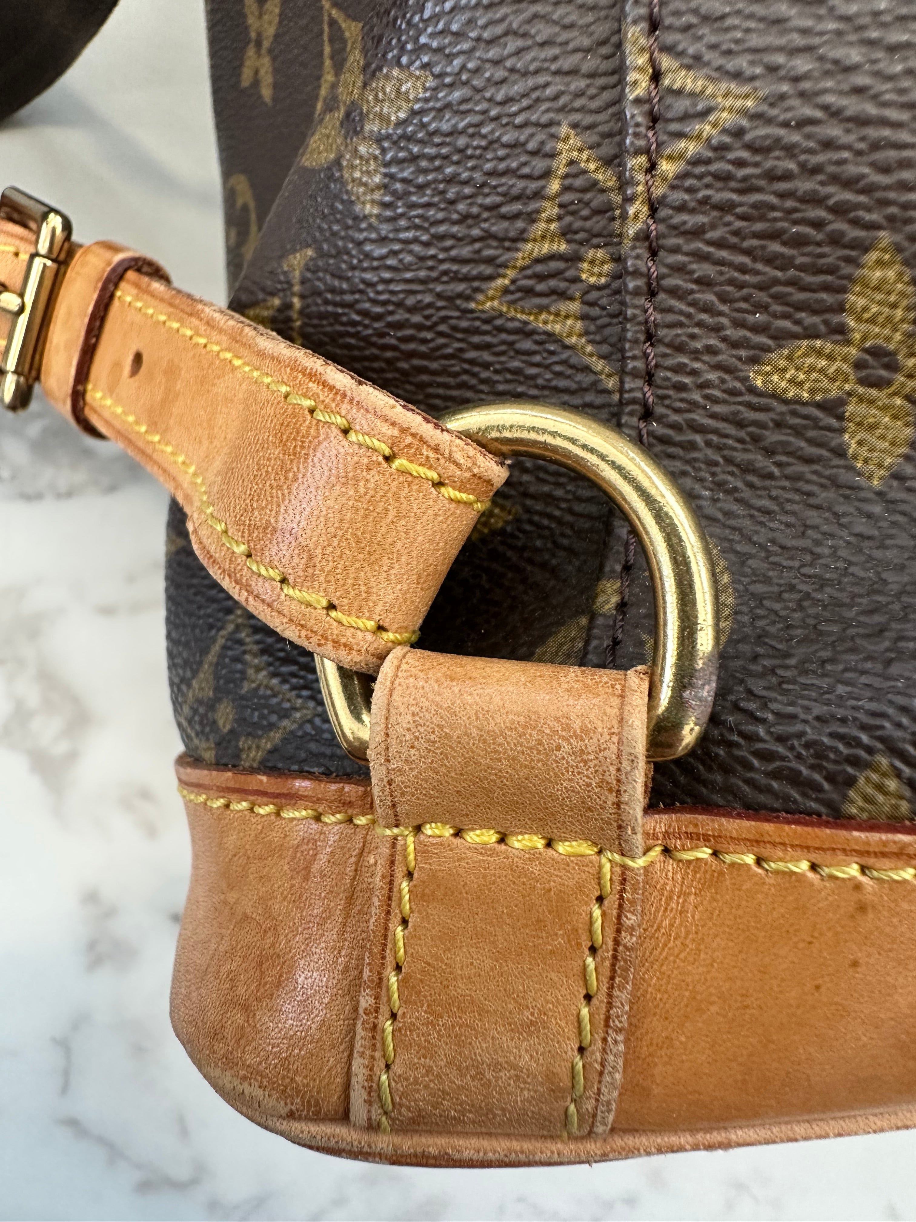 Louis Vuitton Montsouris GM