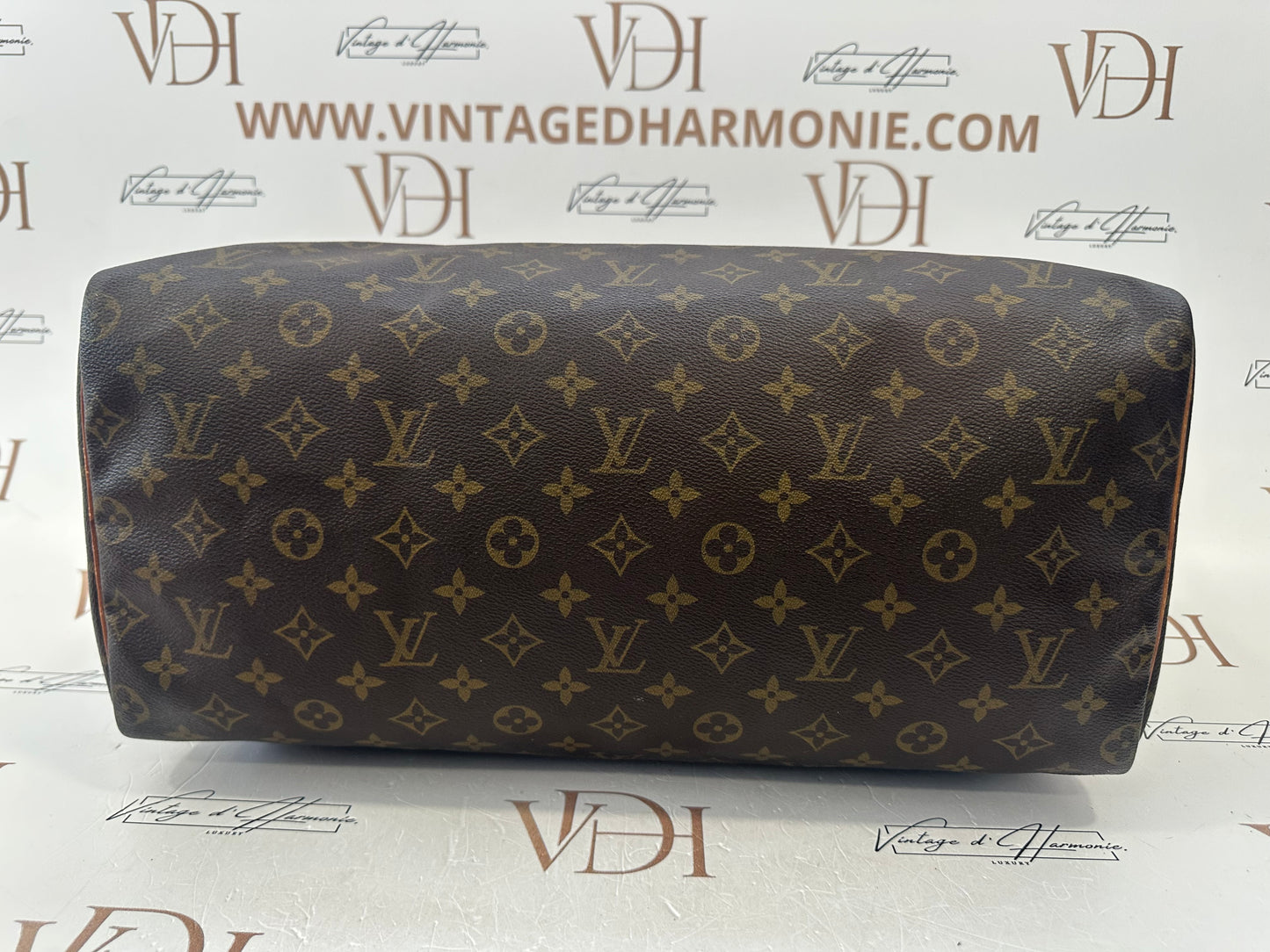 017856 - Louis Vuitton Speedy 40