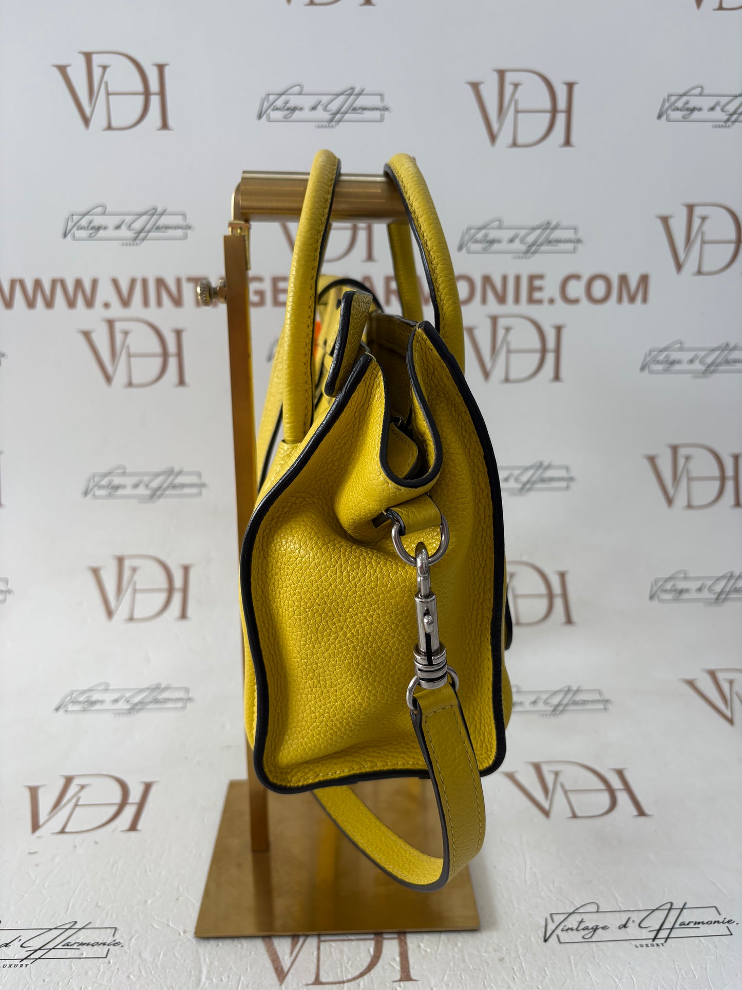 201654 - Céline Nano