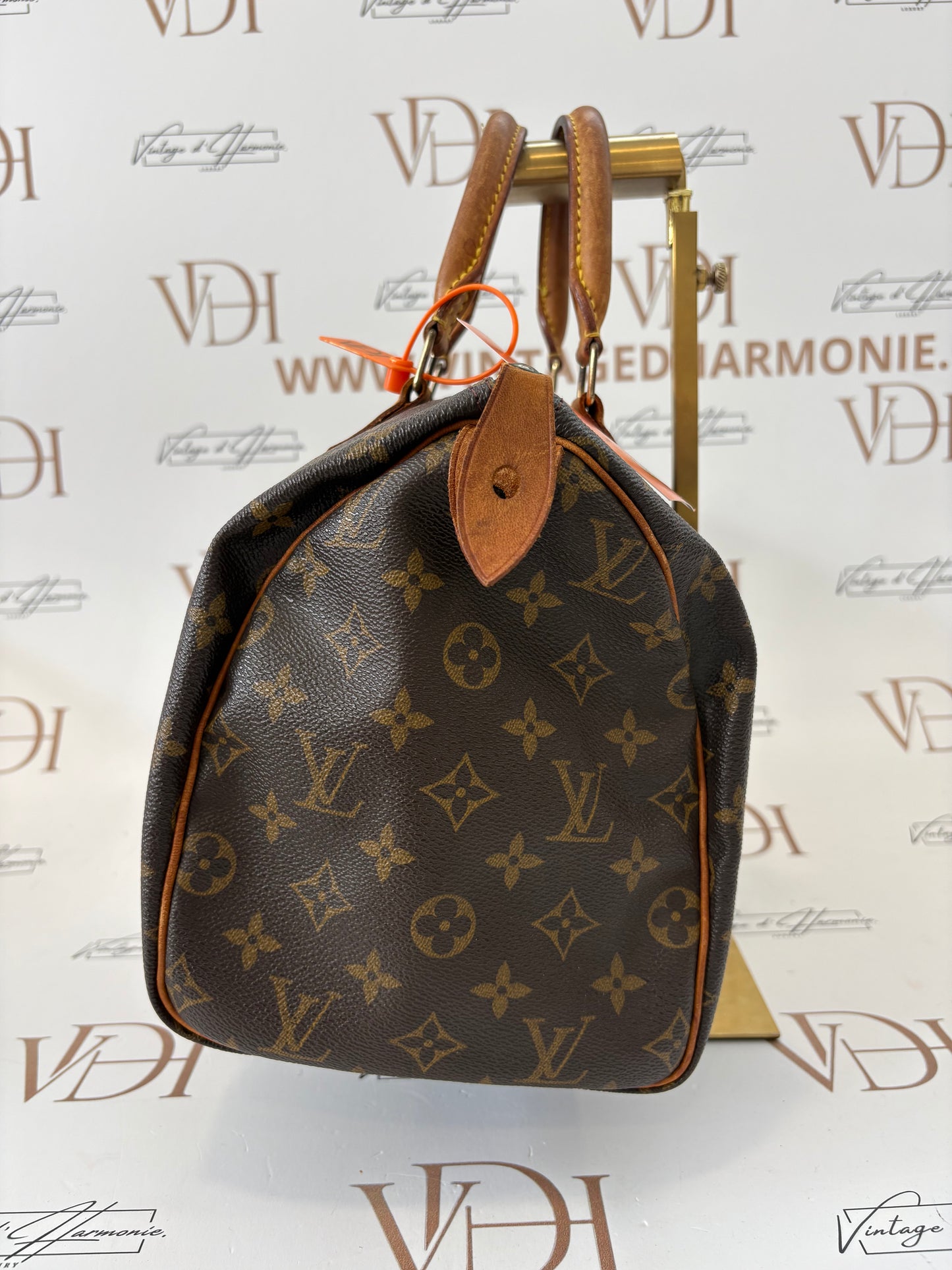 018737 - Louis Vuitton Speedy 30