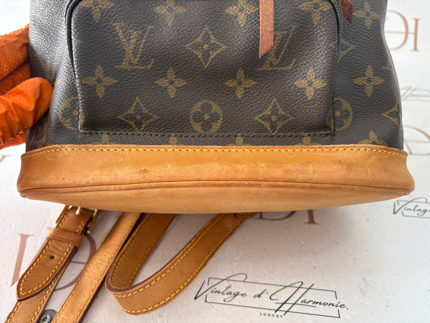 017173 - Louis Vuitton Montsouris MM