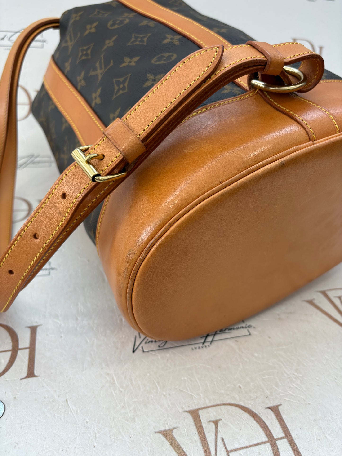 018345 - Louis Vuitton Randonne PM