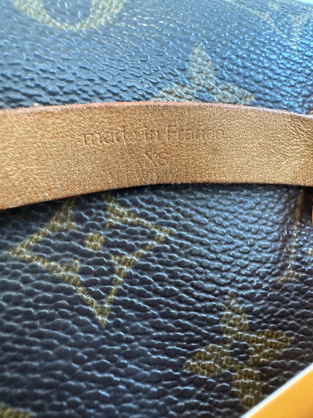 Louis Vuitton Florentine XS