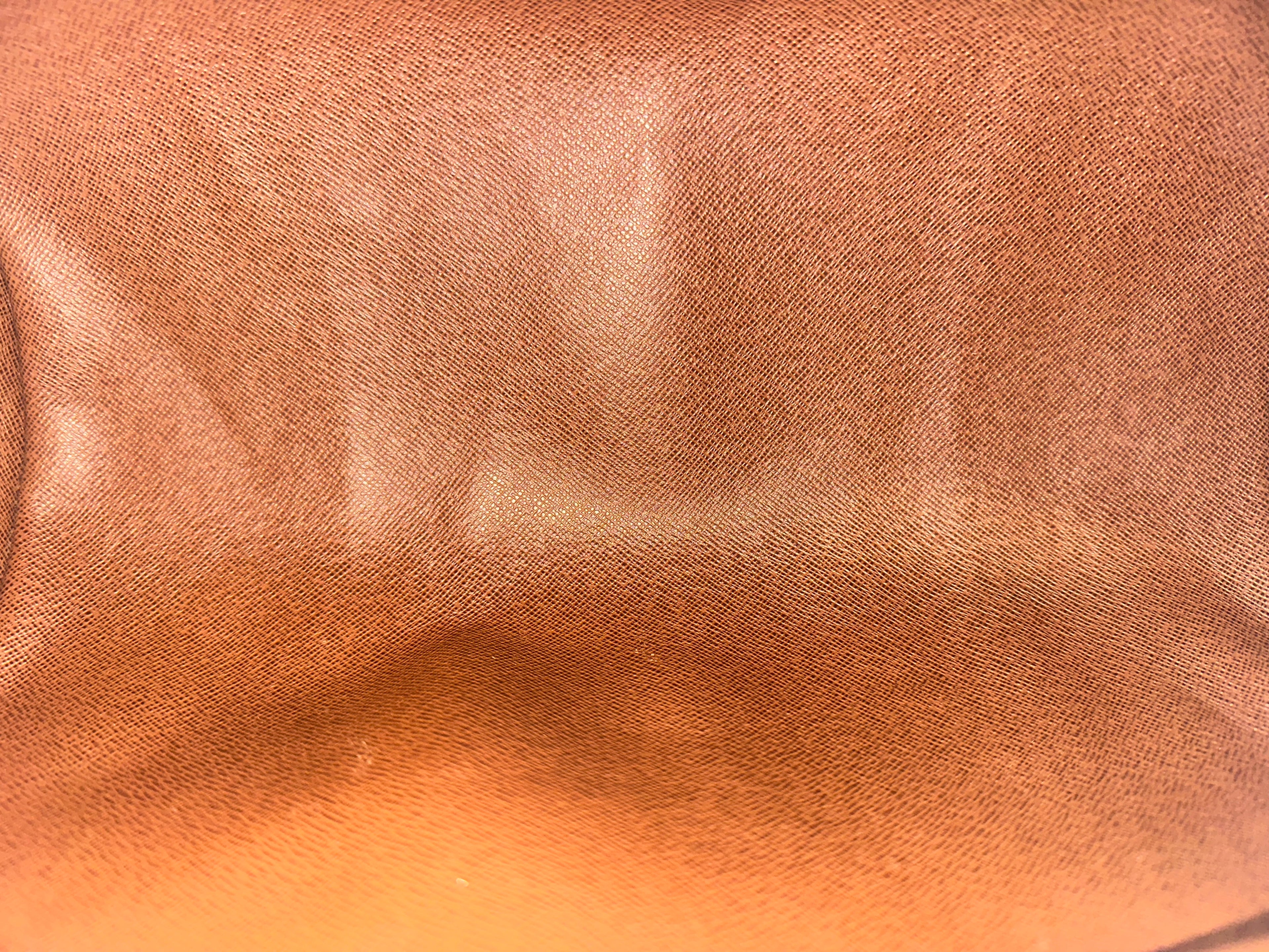 Louis Vuitton Papillon 30