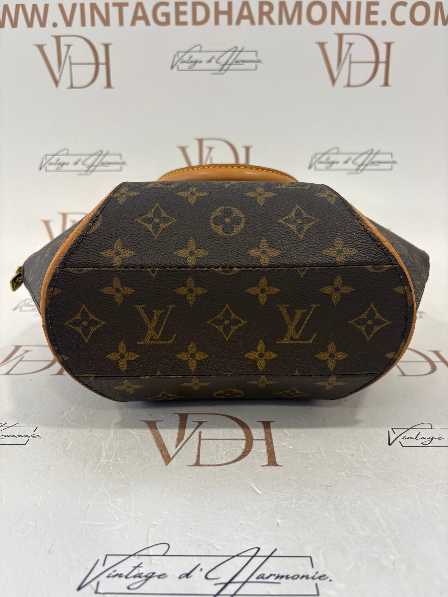 017719 - Louis Vuitton Ellipse PM