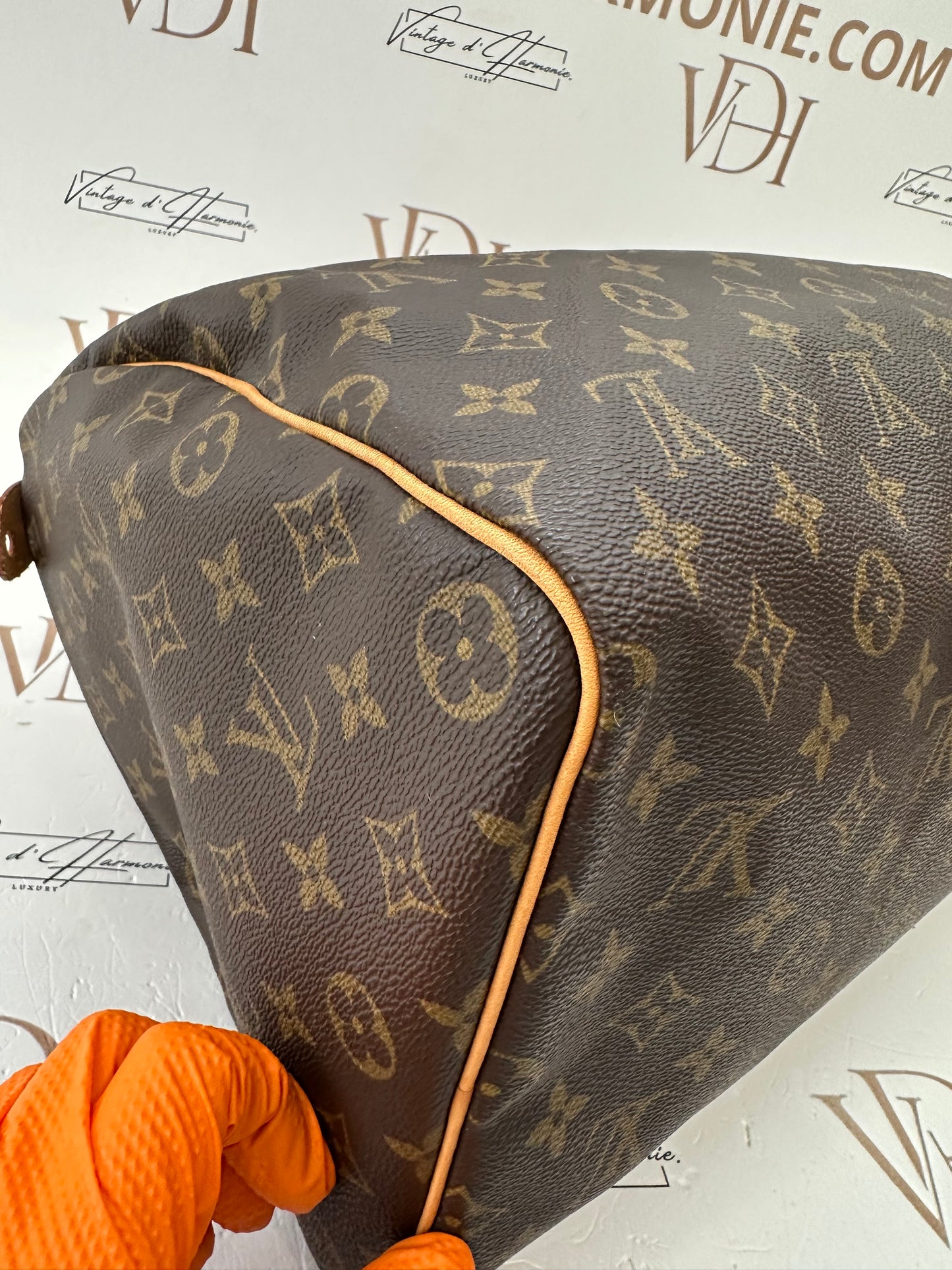 017920 - Louis Vuitton Speedy 40