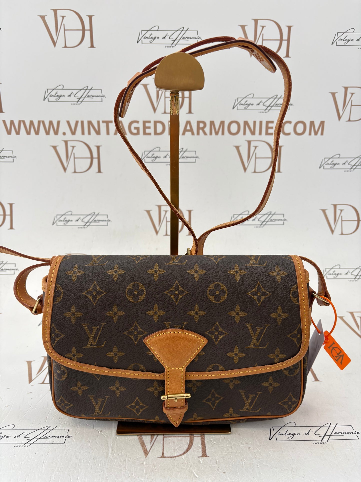 018600 - Louis Vuitton Sologne