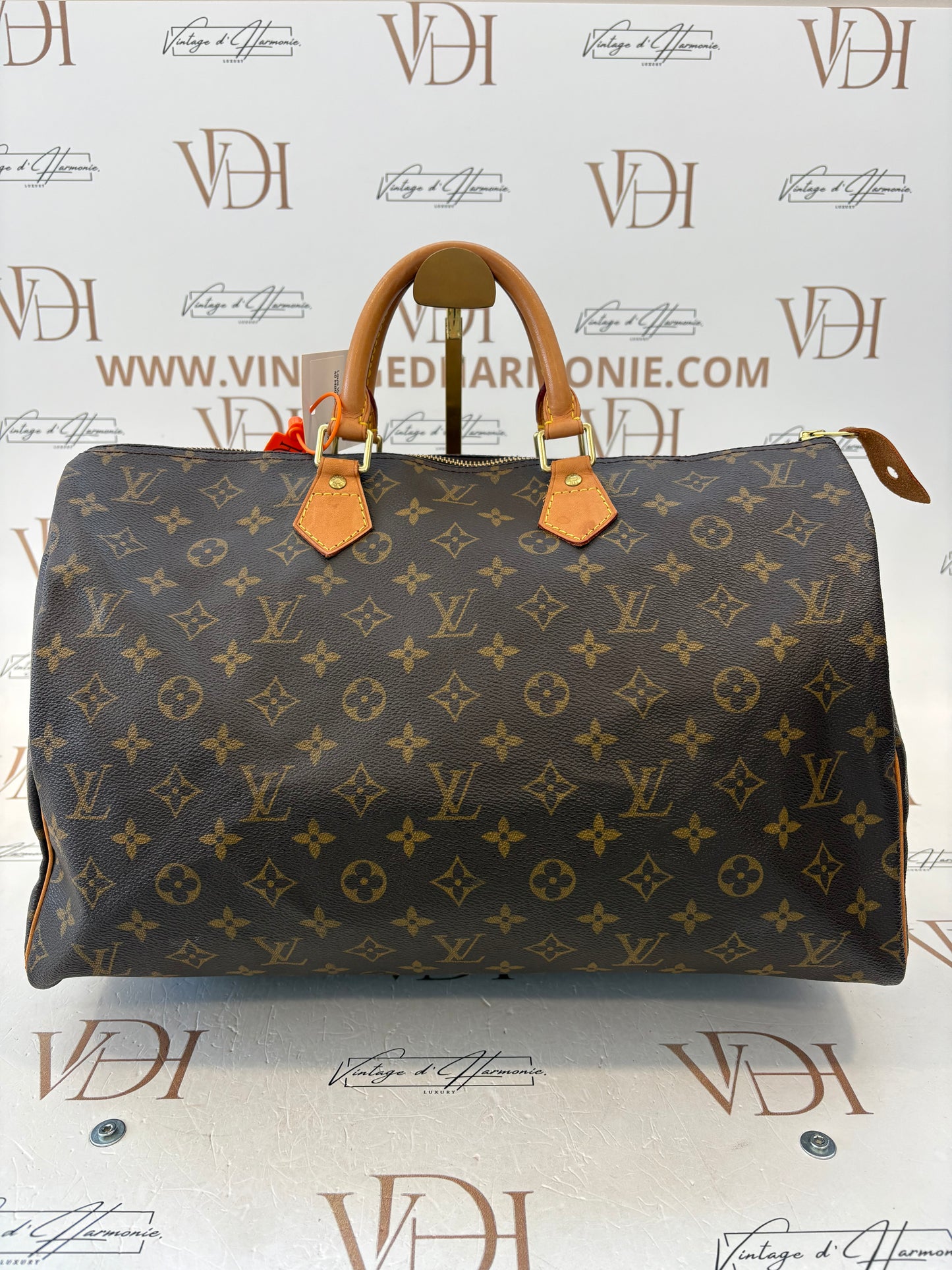018862 - Louis Vuitton Speedy 40
