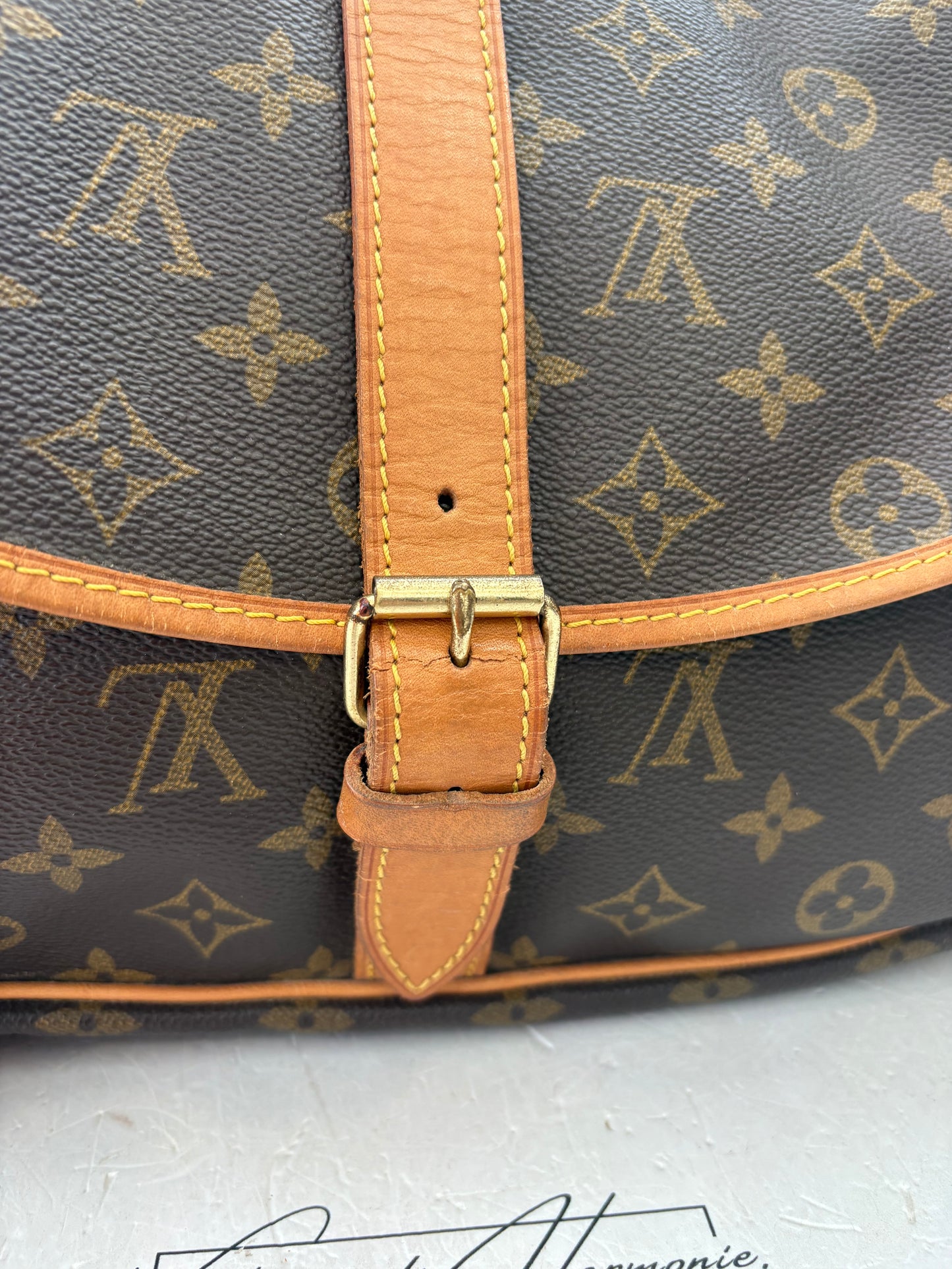 019002 - Louis Vuitton Saumur 35