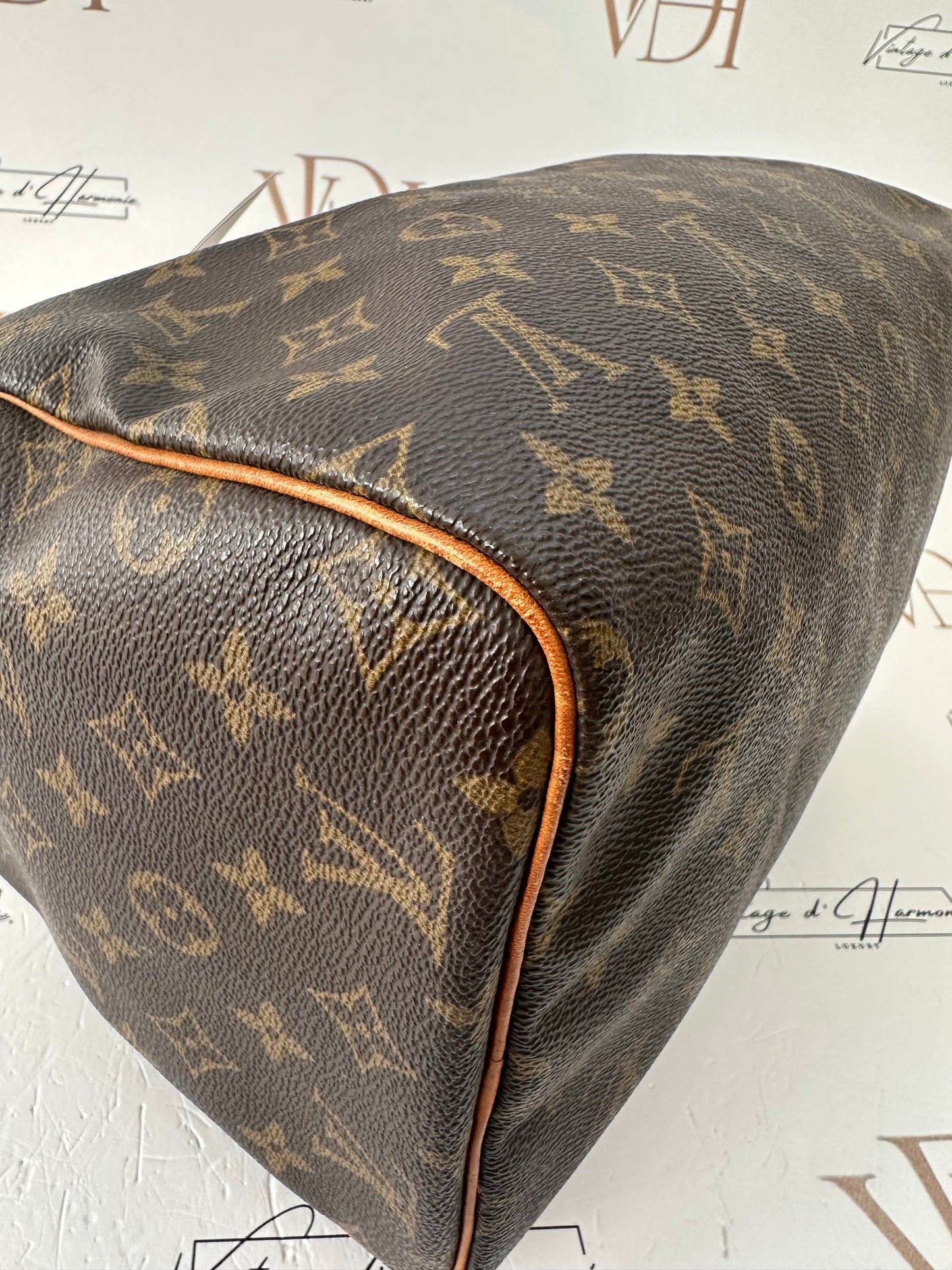 017847 - Louis Vuitton Speedy 30