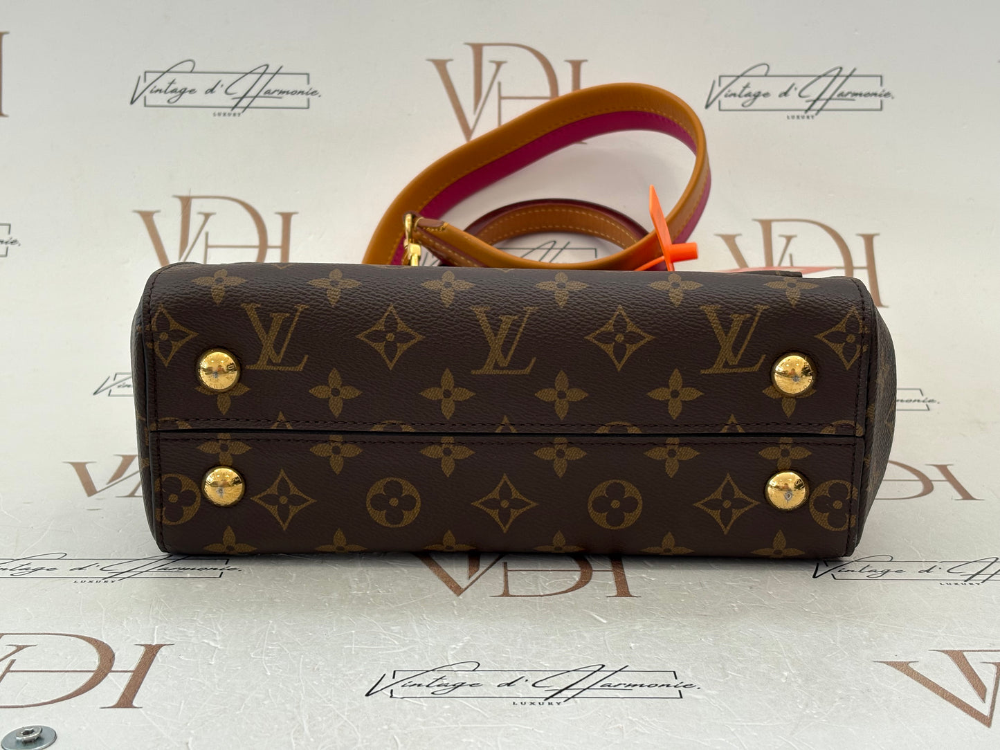 383491 - Louis Vuitton Cluny