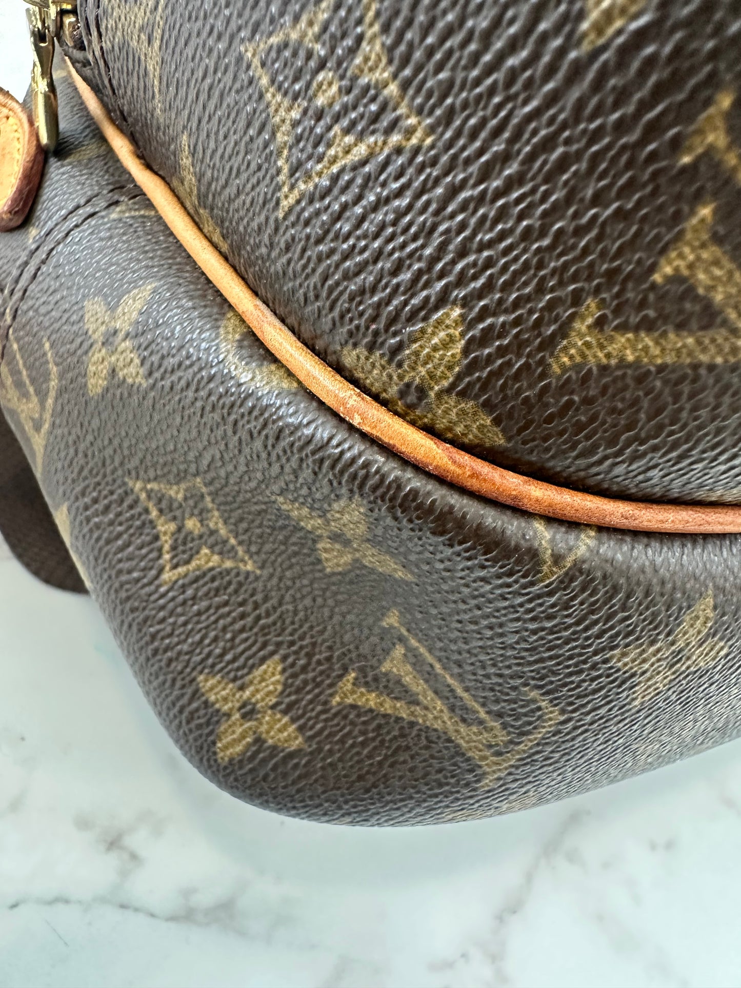 Louis Vuitton Reporter PM