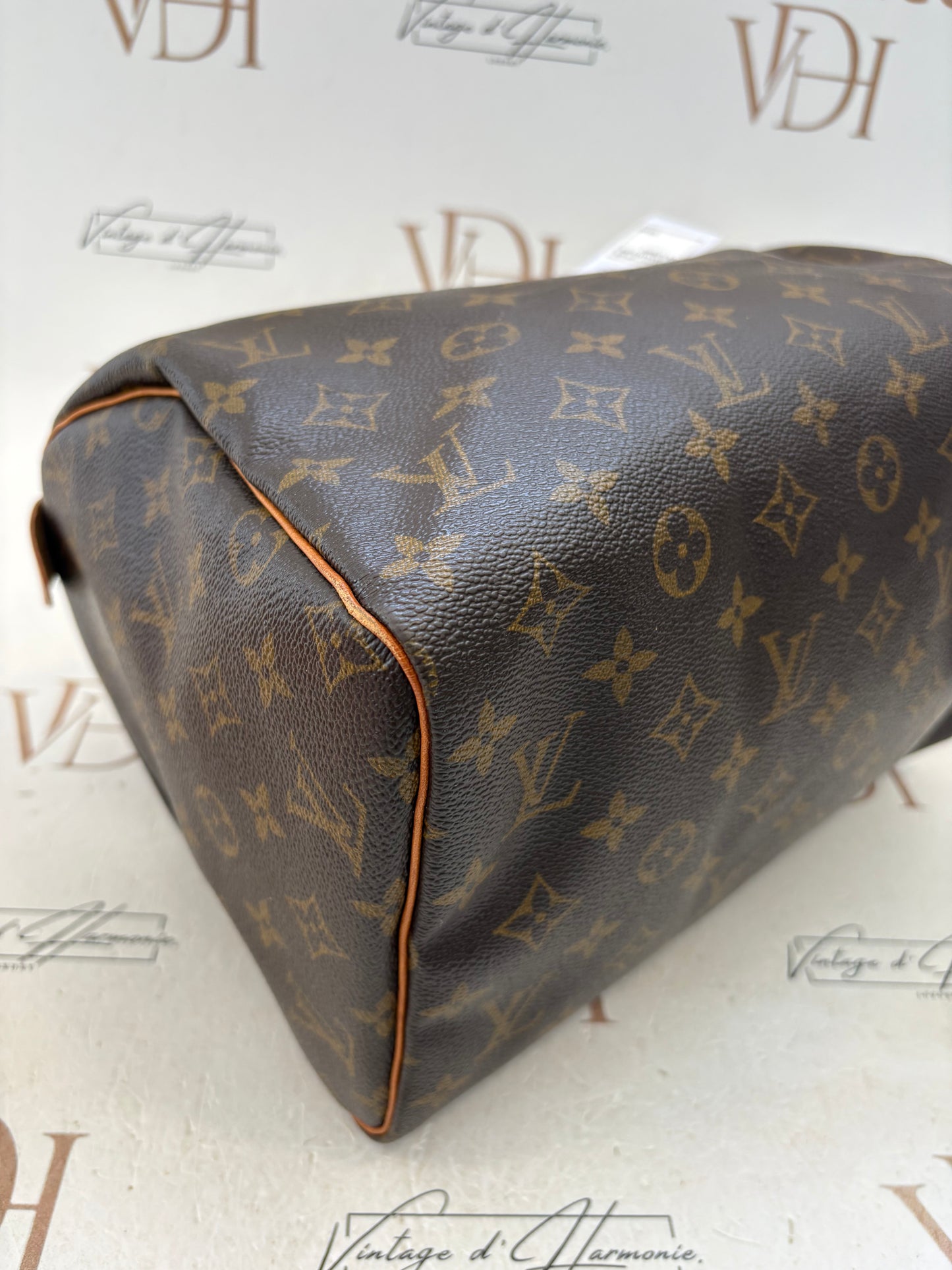 017213 - Louis Vuitton Speedy 30