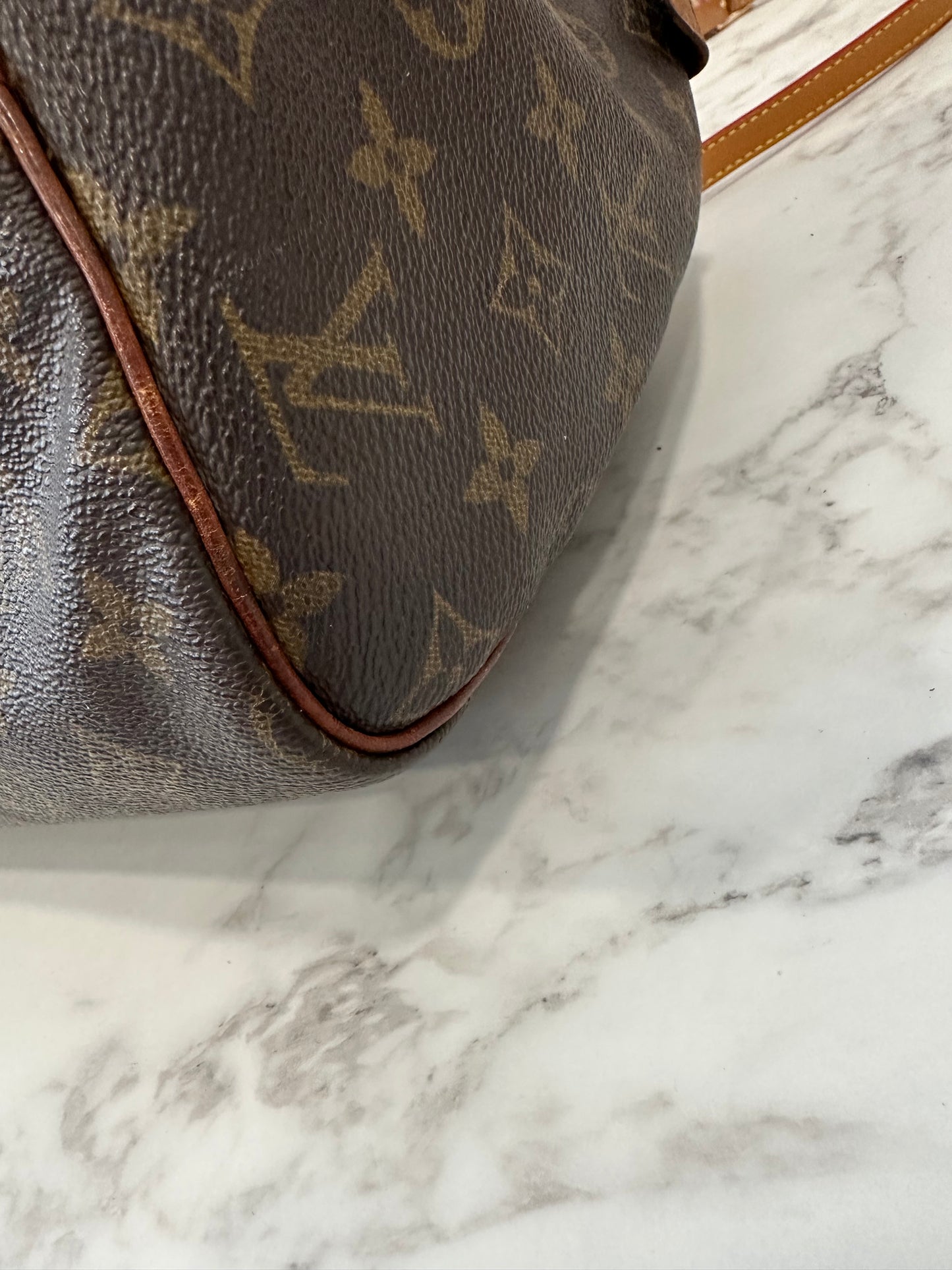 Louis Vuitton Speedy 30