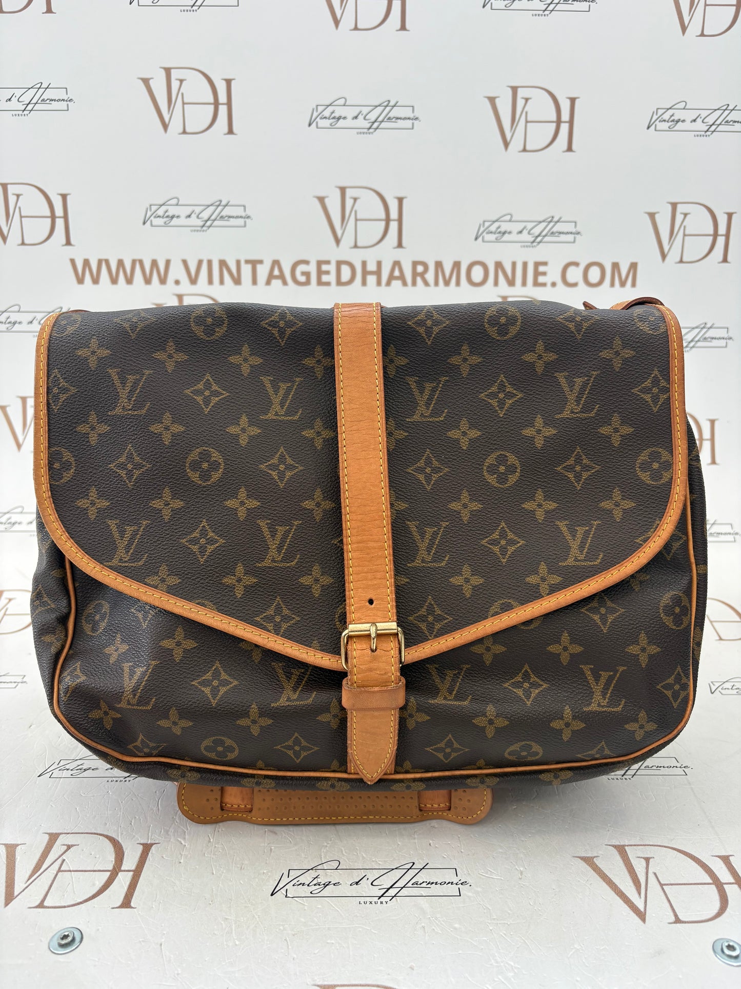 019002 - Louis Vuitton Saumur 35
