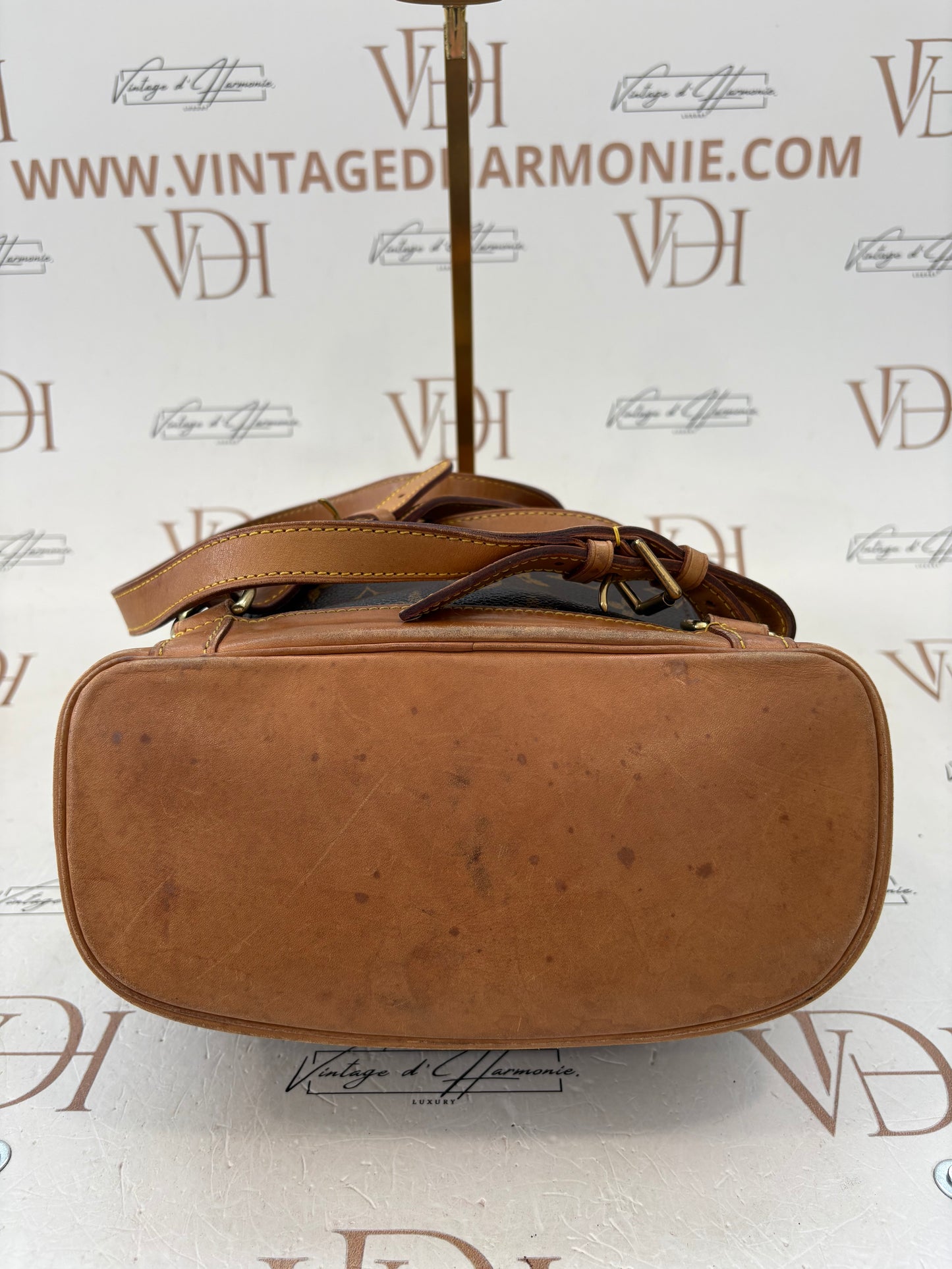 018728 - Louis Vuitton Montsouris MM
