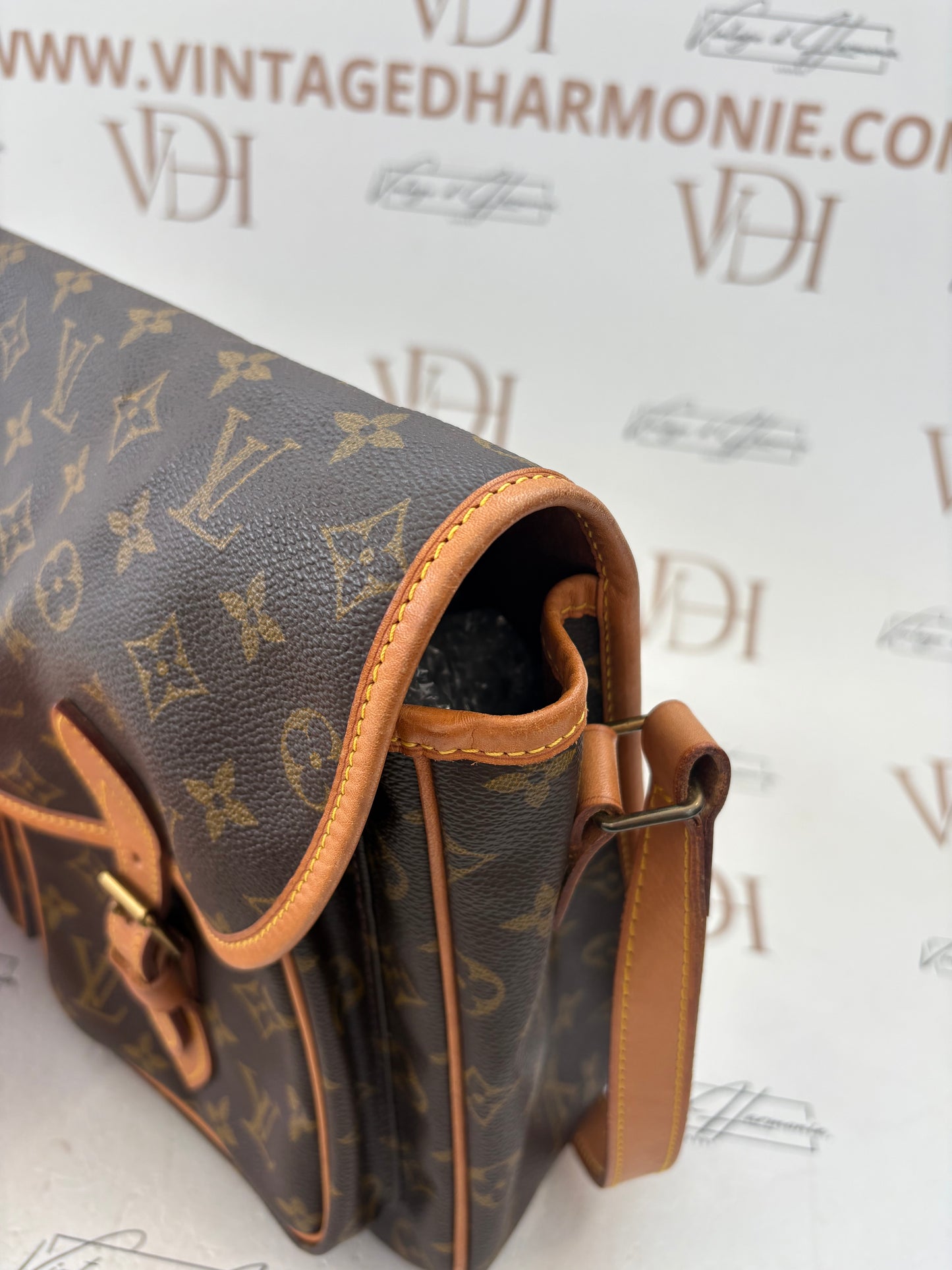 018966 - Louis Vuitton Gibeciere