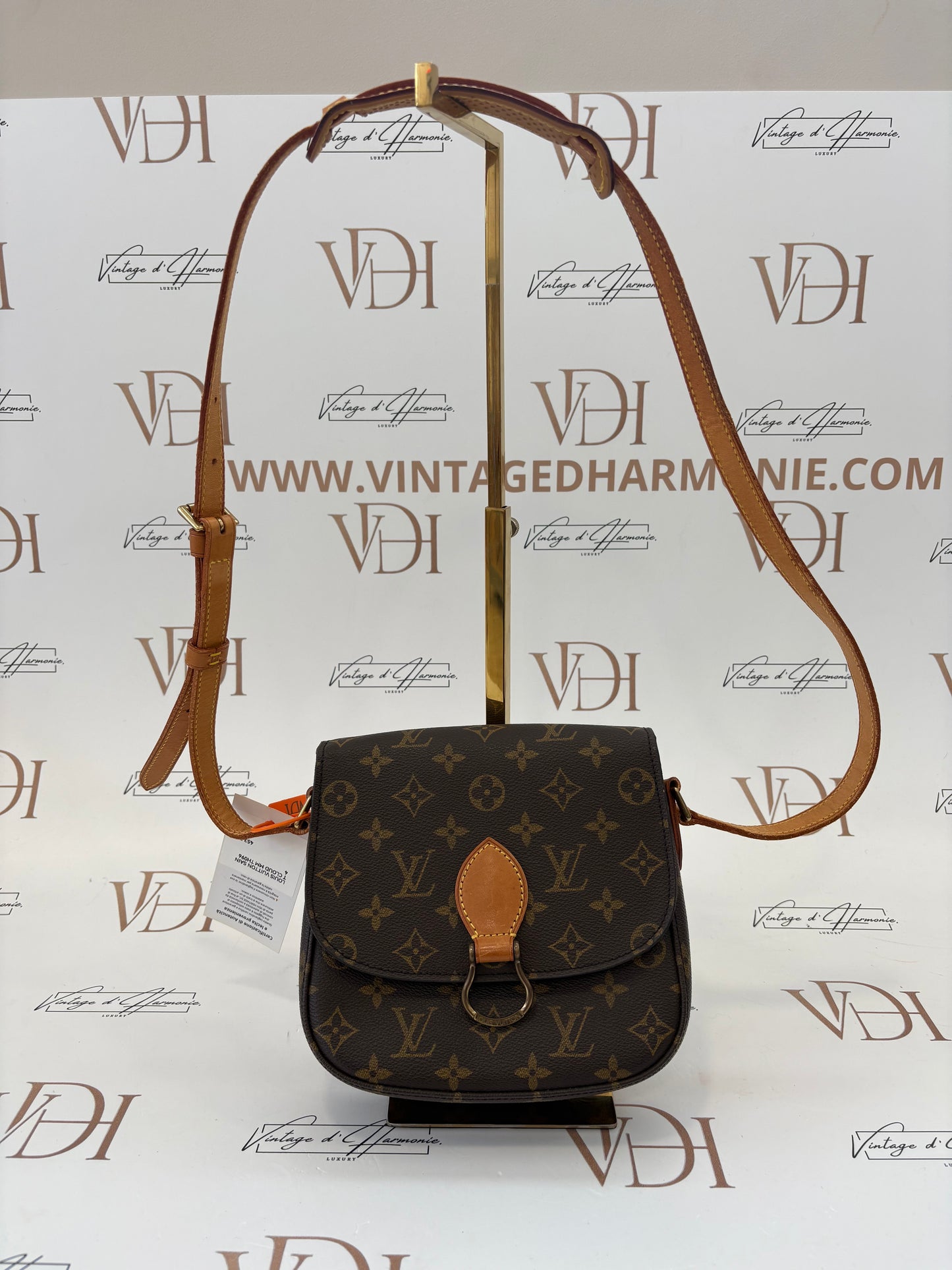 018936- Louis Vuitton Sain T cloud MM